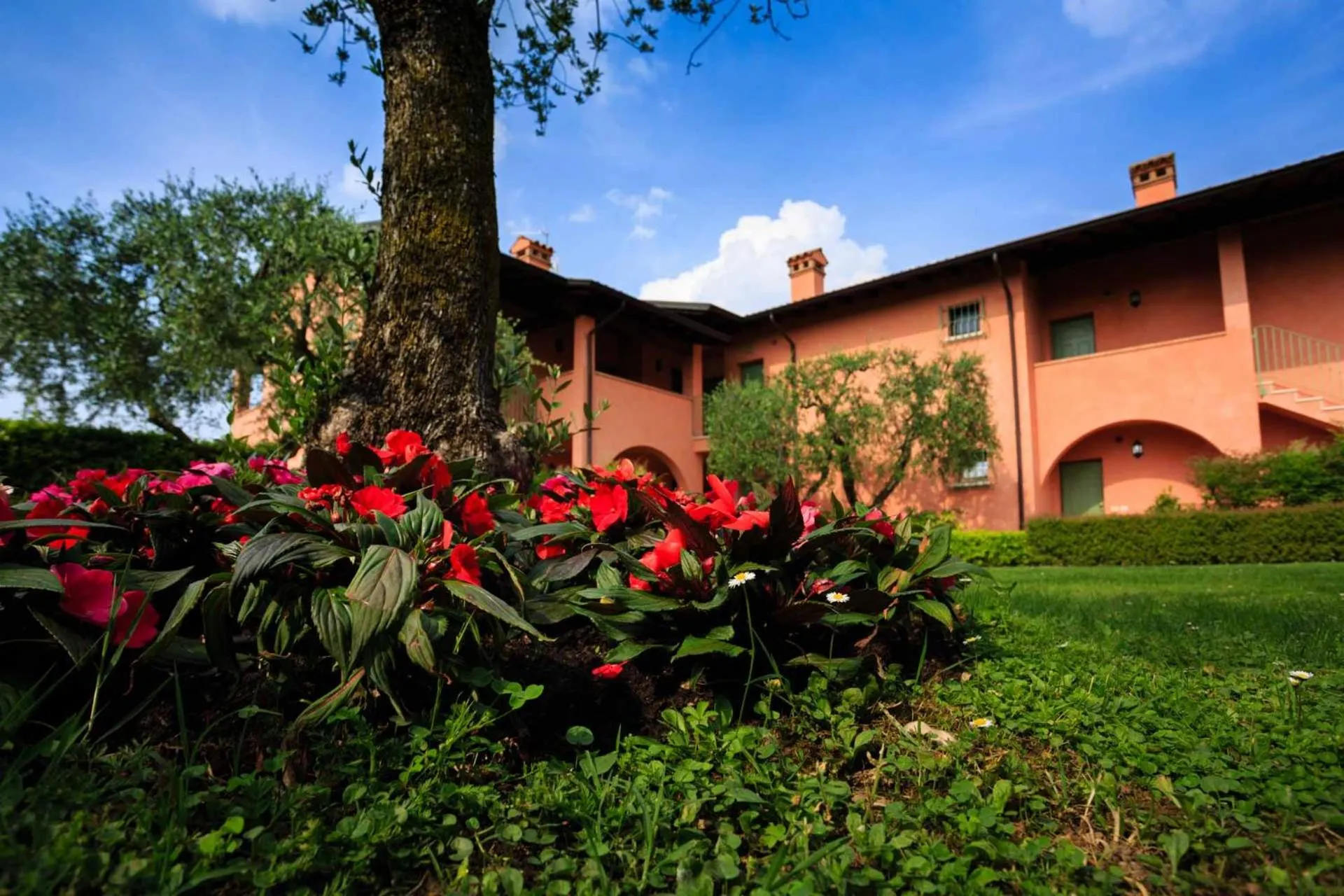 Other in Bellasirmione - Acquachiara