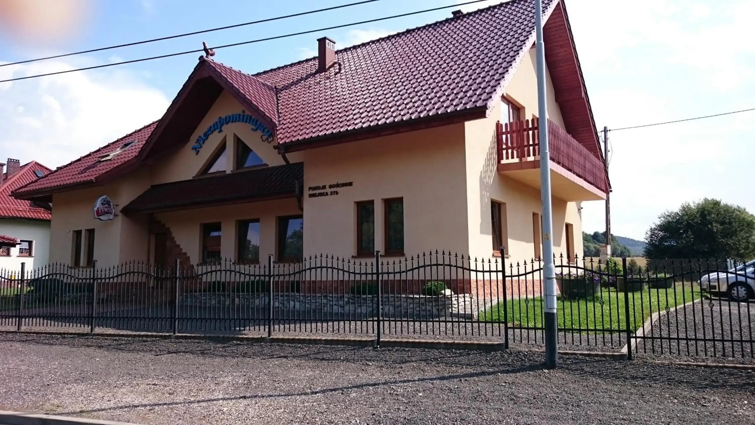 Niezapominajka Niezapominajka