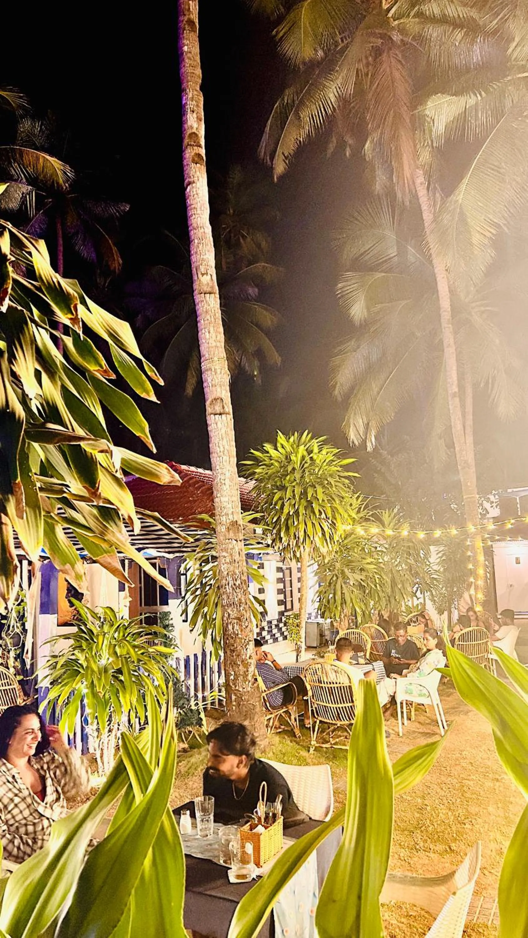 Restaurant/places to eat in Garden Aroma Palolem, Beachside Hostel & Cafe Bar