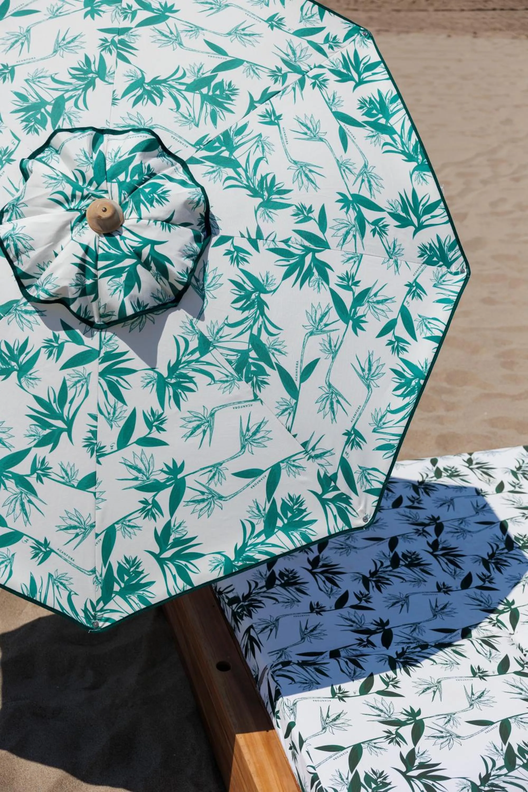 Beach in Hotel Cerere