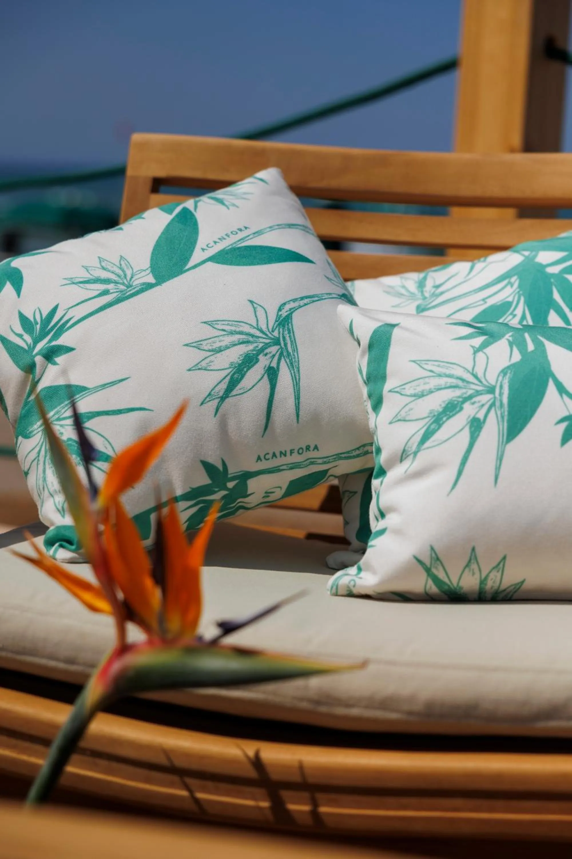 Beach in Hotel Cerere