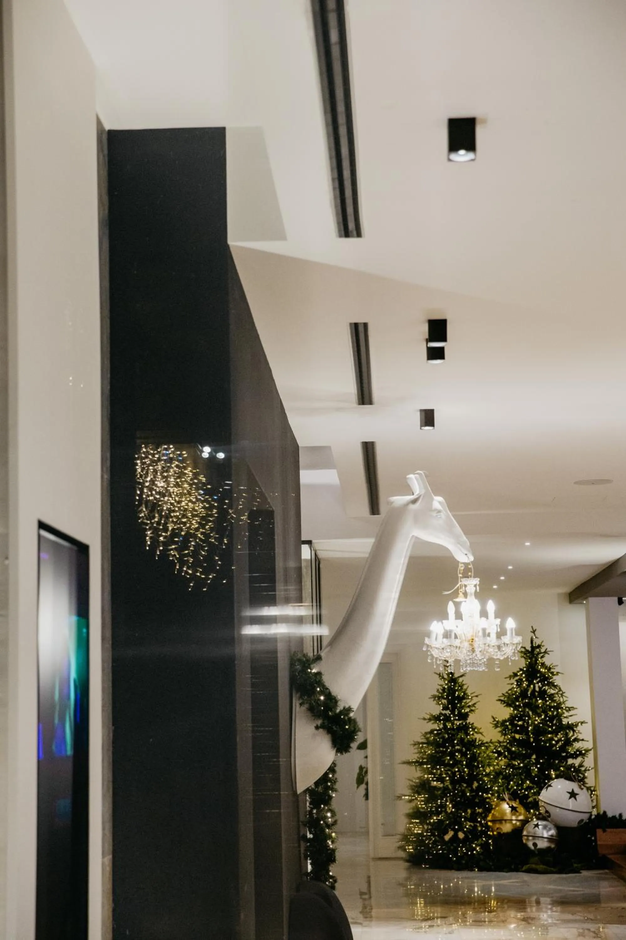 Lobby or reception in Hotel Cerere