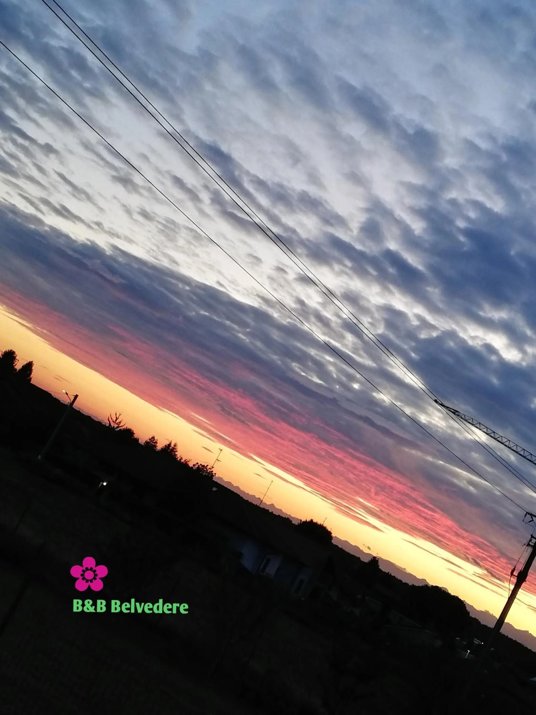 B&B Belvedere