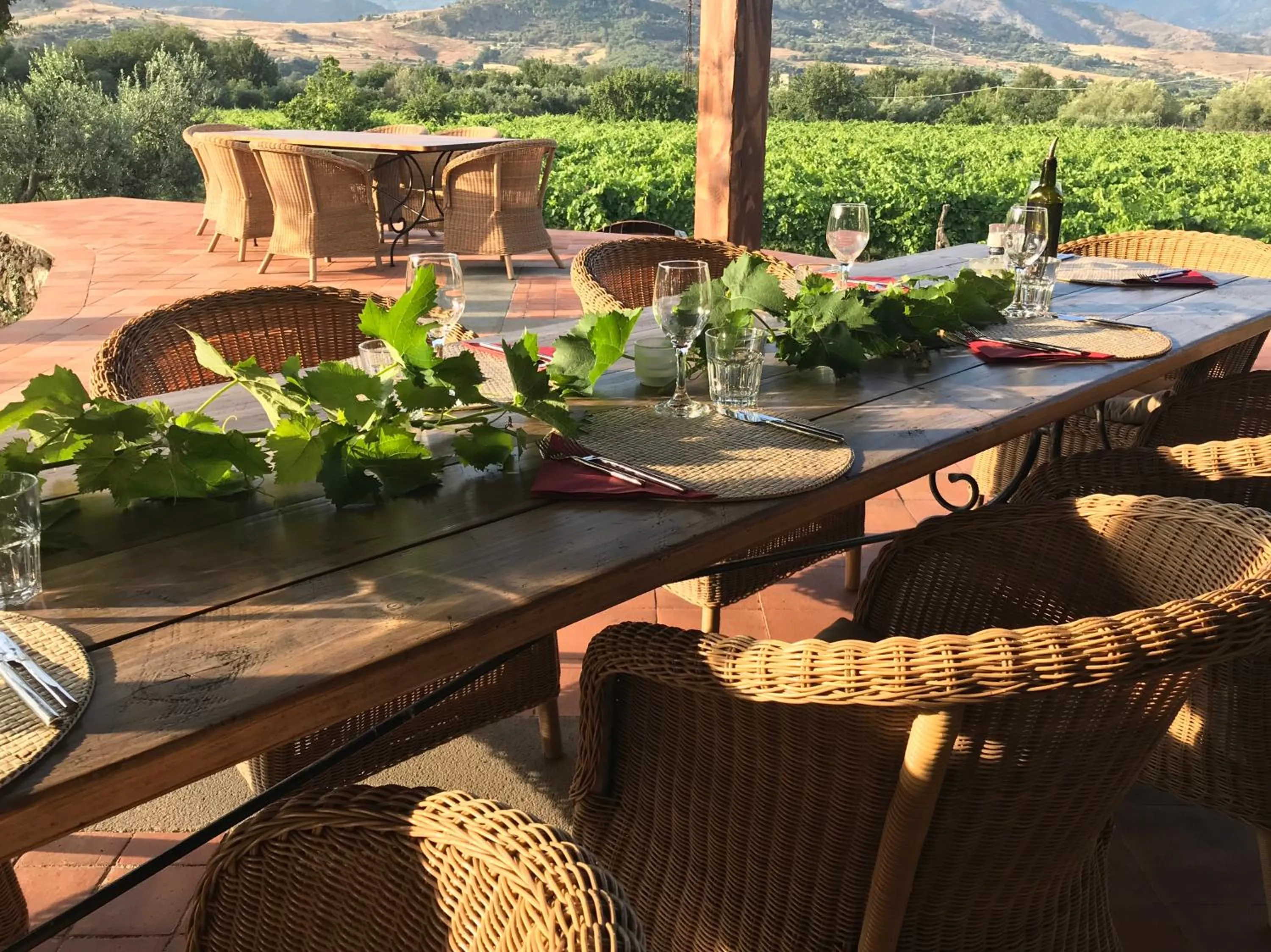 Tenuta Madonnina