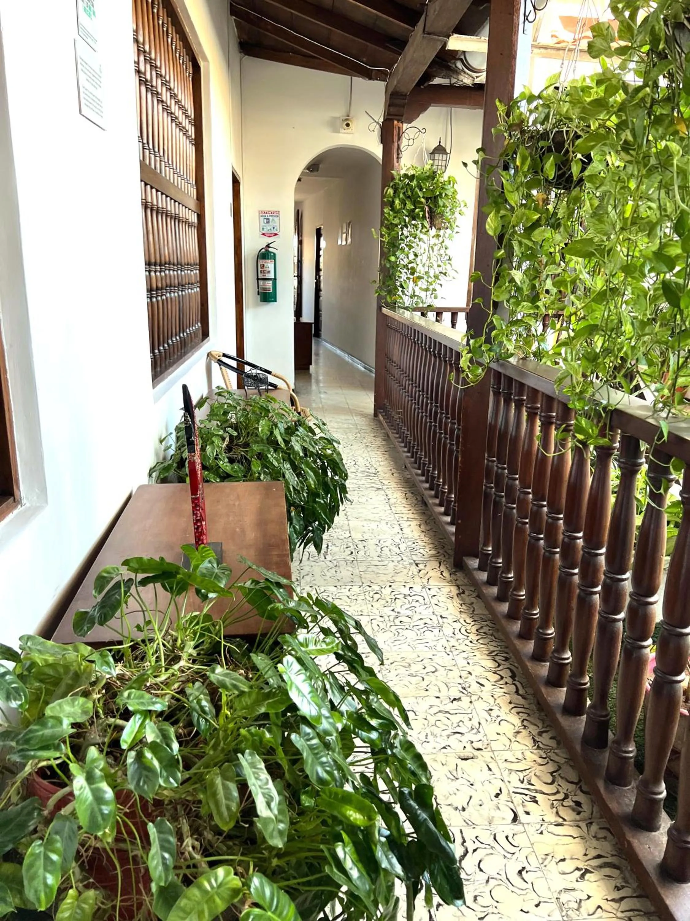 Garden view in Santa Alejandría Hotel