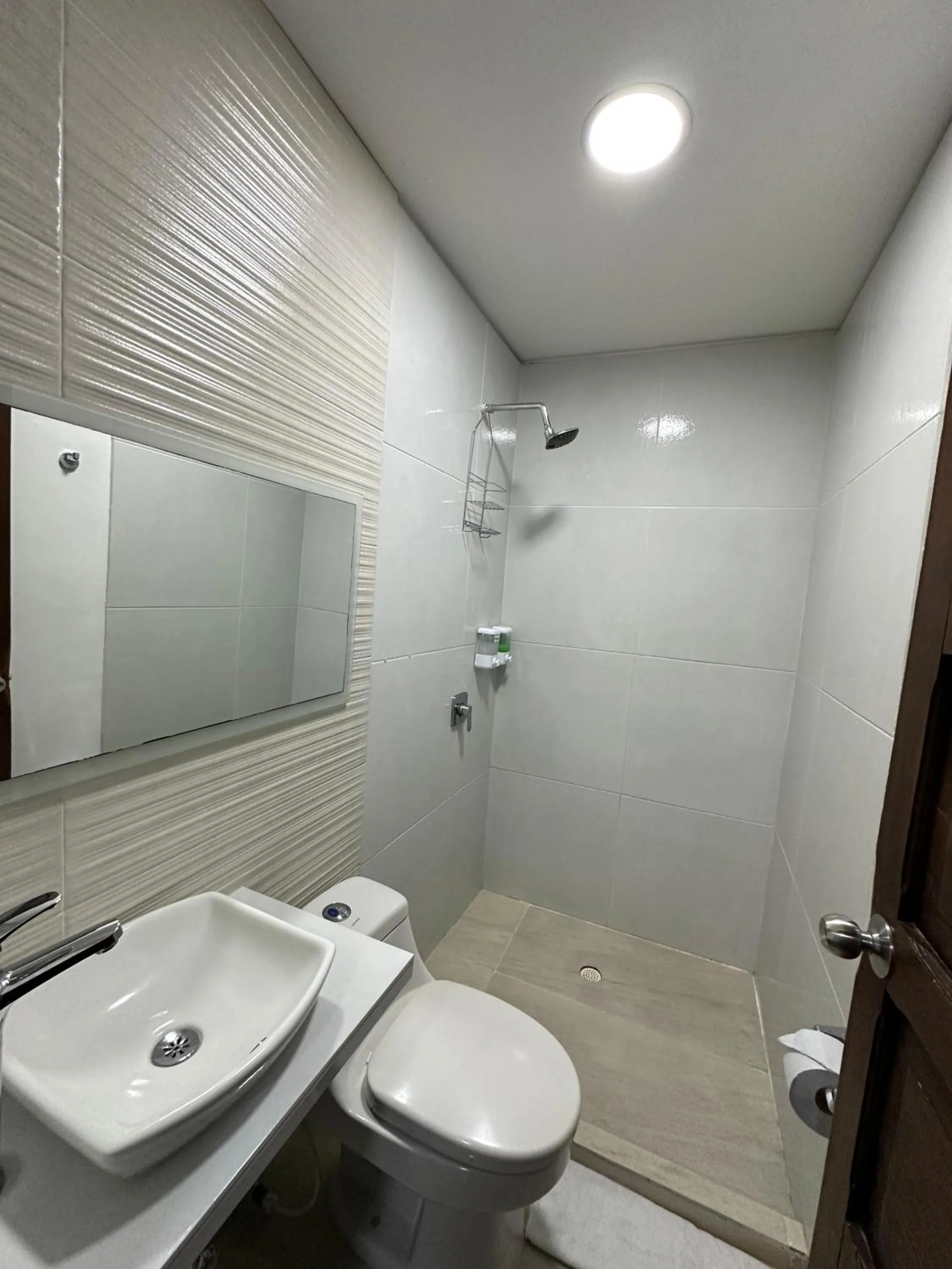 Toilet in Santa Alejandría Hotel