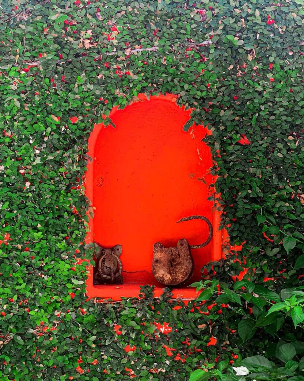 Garden in Zana Hotel Boutique