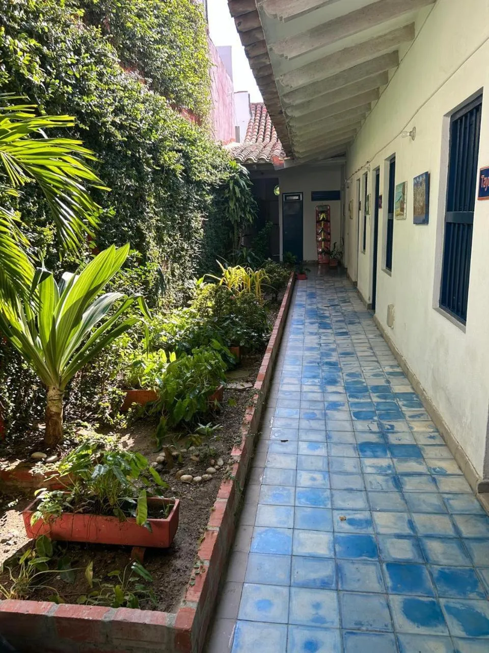 Garden in Zana Hotel Boutique