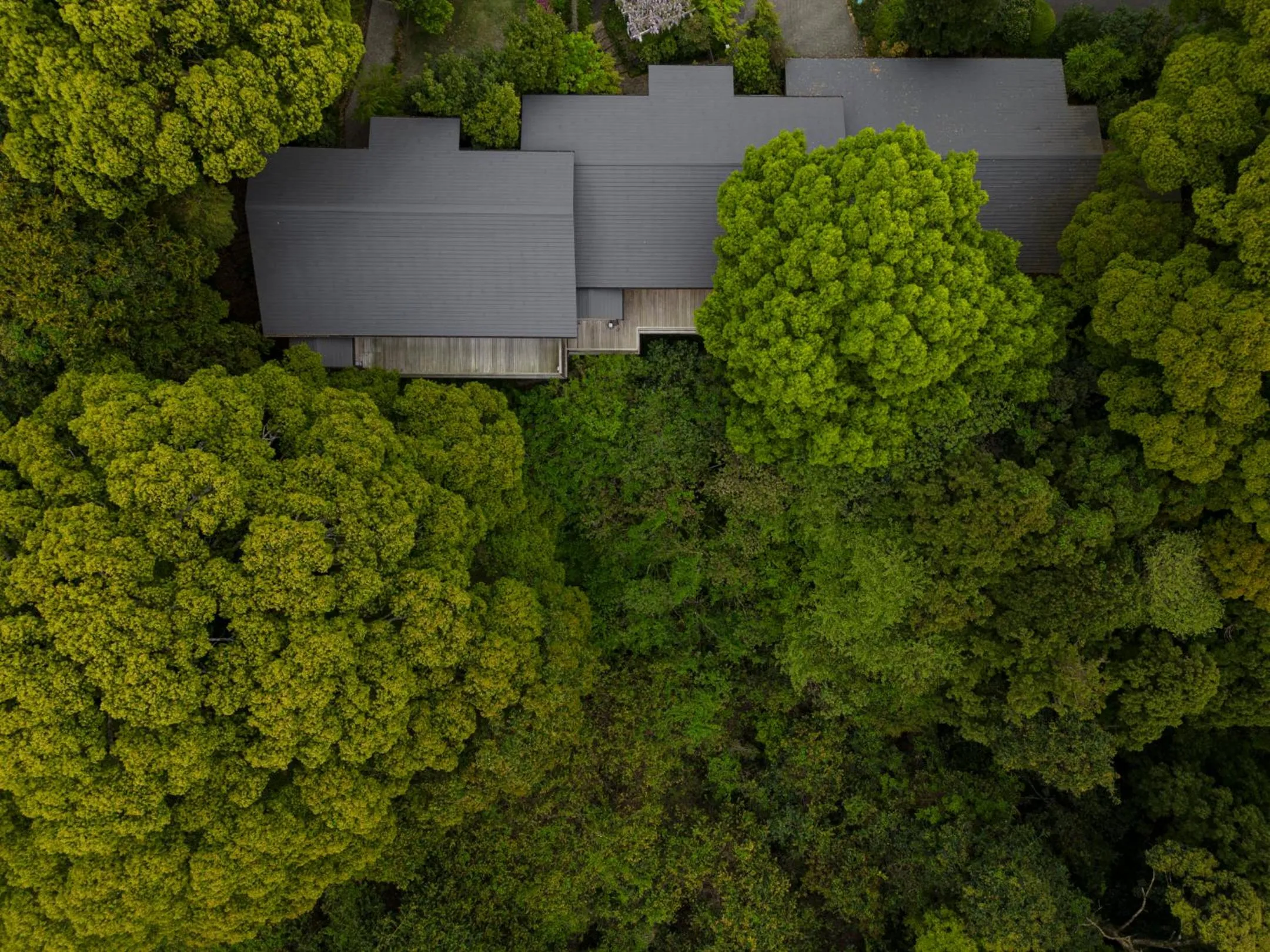 Garden in ABBA Resorts Izu - Zagyosoh