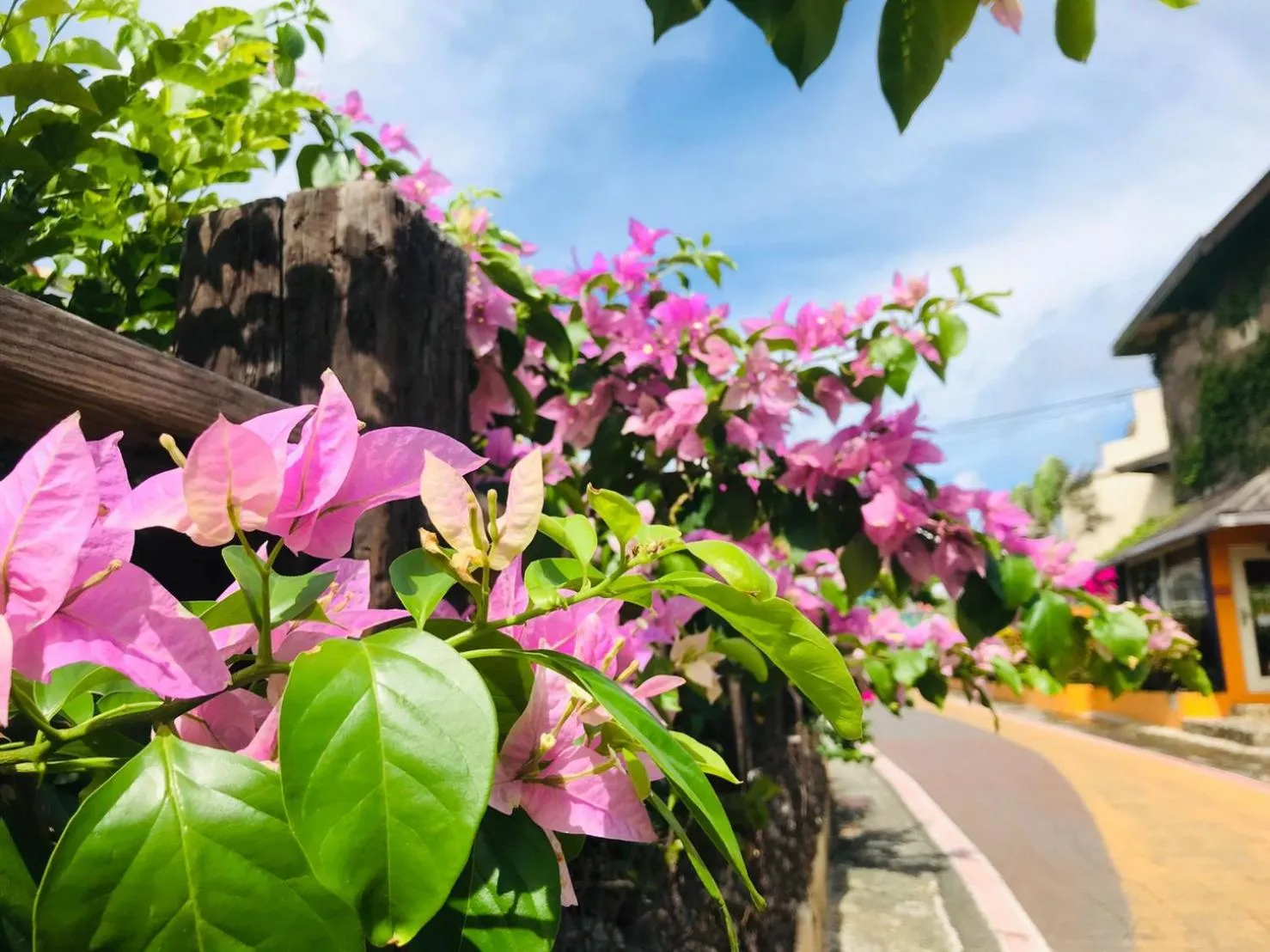 Property building in Sasa Nor Lamour B&B