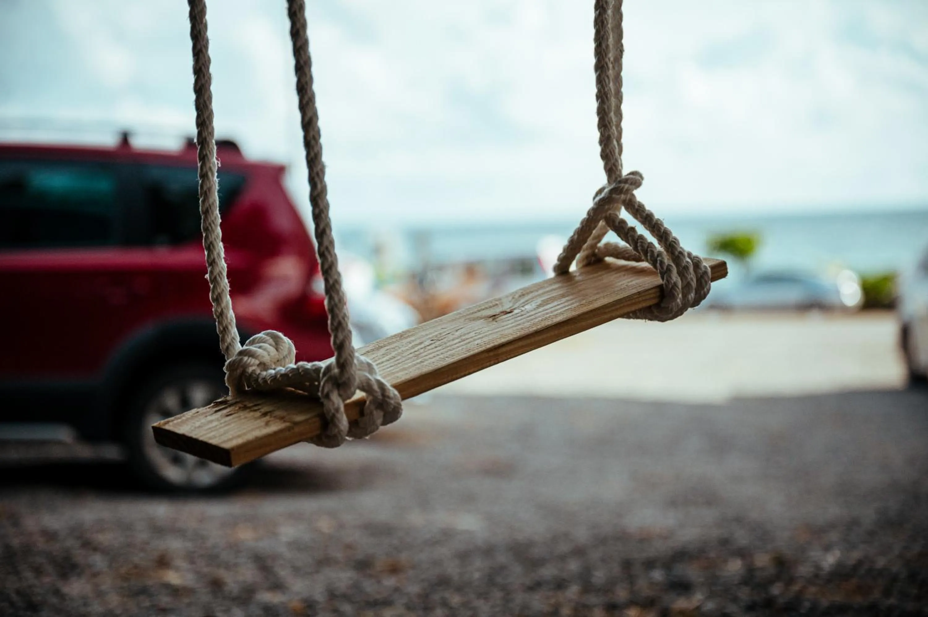 Animals in Sasa Nor Lamour B&B