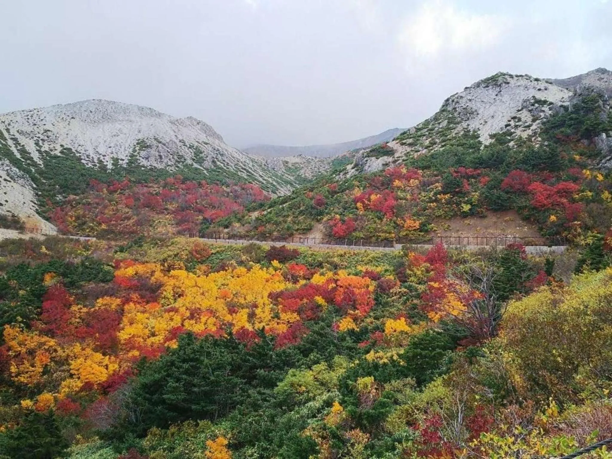 Nearby landmark in Harumiya Ryokan