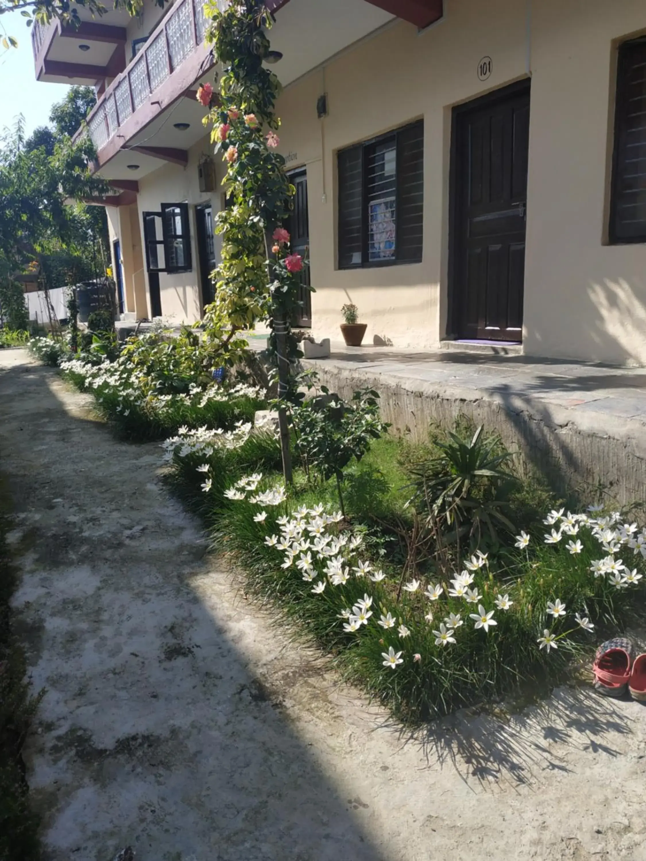 Single Room with Lake View in Peace Guest House Single Room with Lake View in Peace Guest House