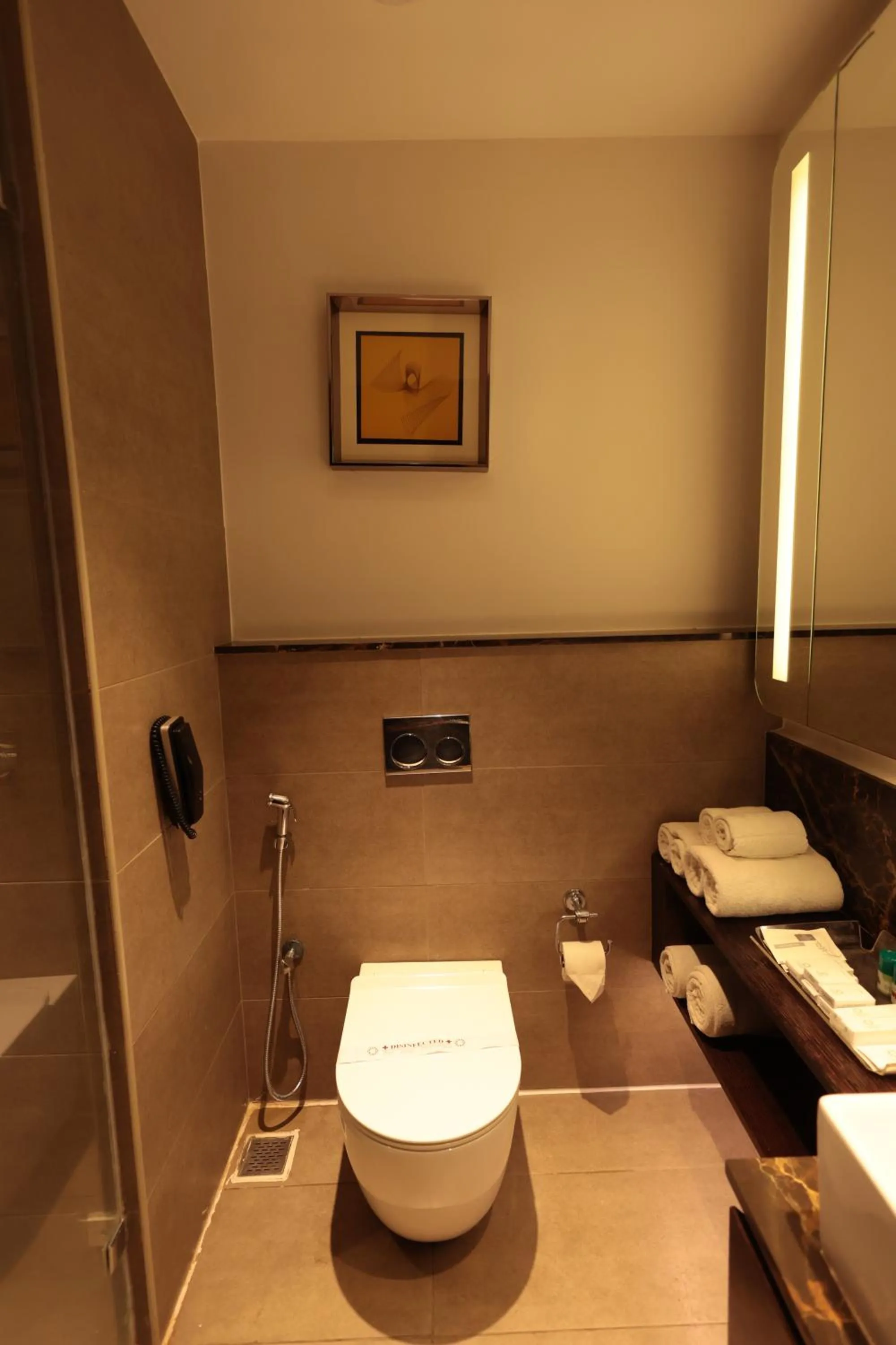 Toilet in Cenneys Gateway - Pride of Salem