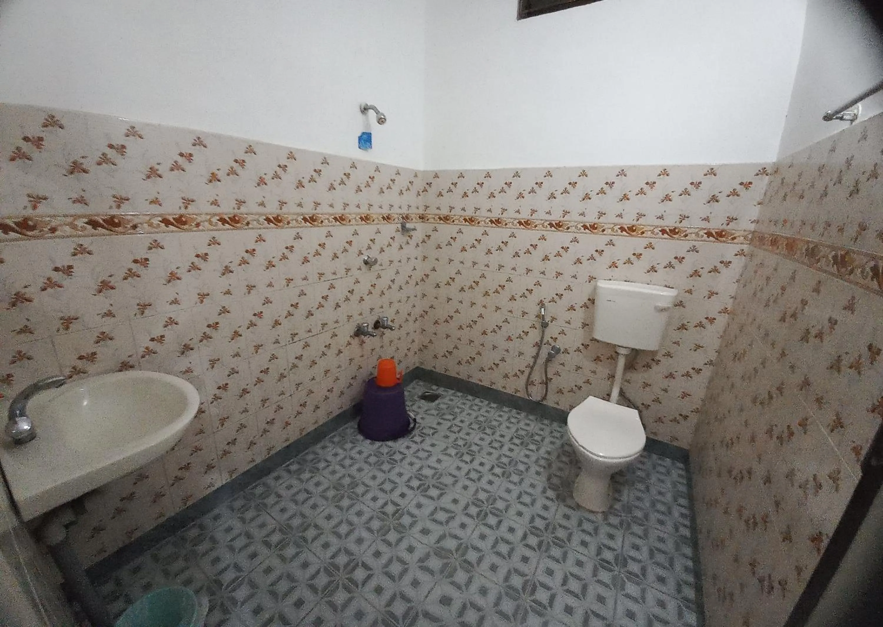 Toilet in Hotel Srinivas