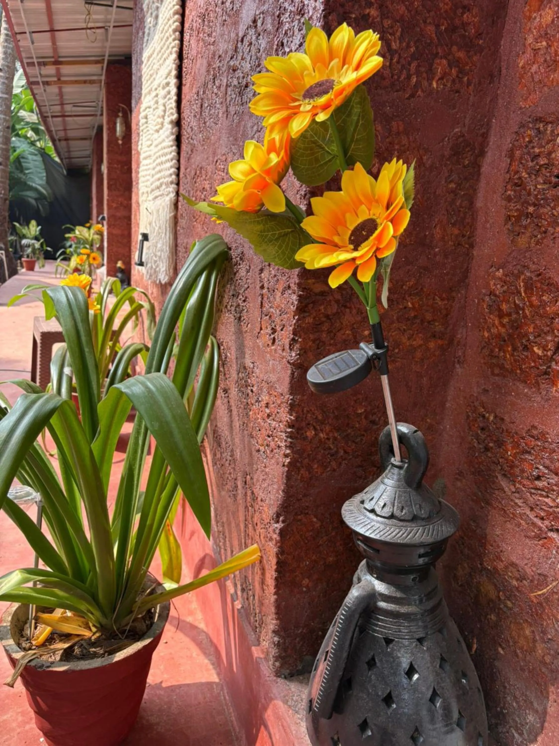 Spring in The Charming Nights