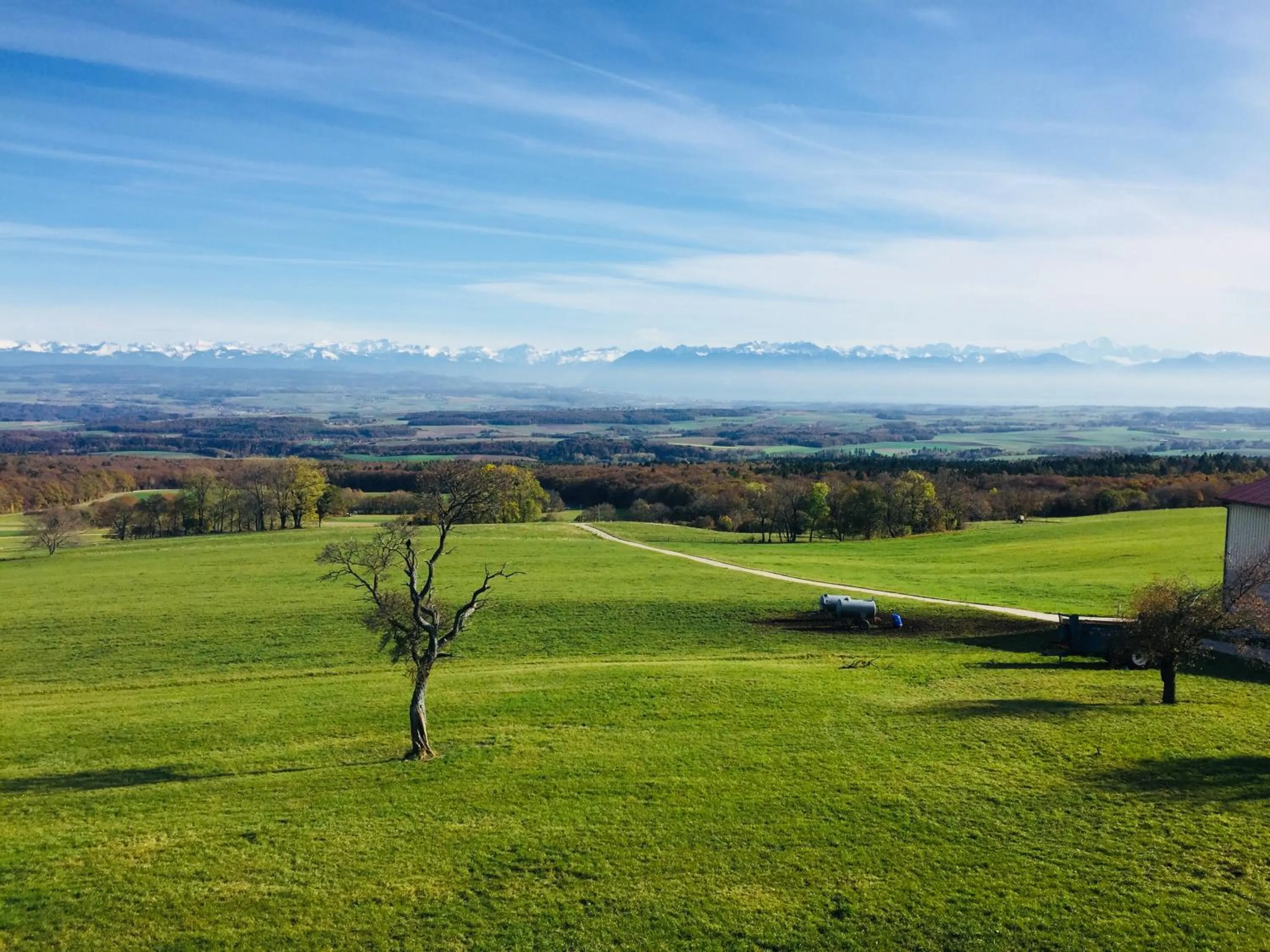 Garden in La Ferme de la Praz - Rooms with a View