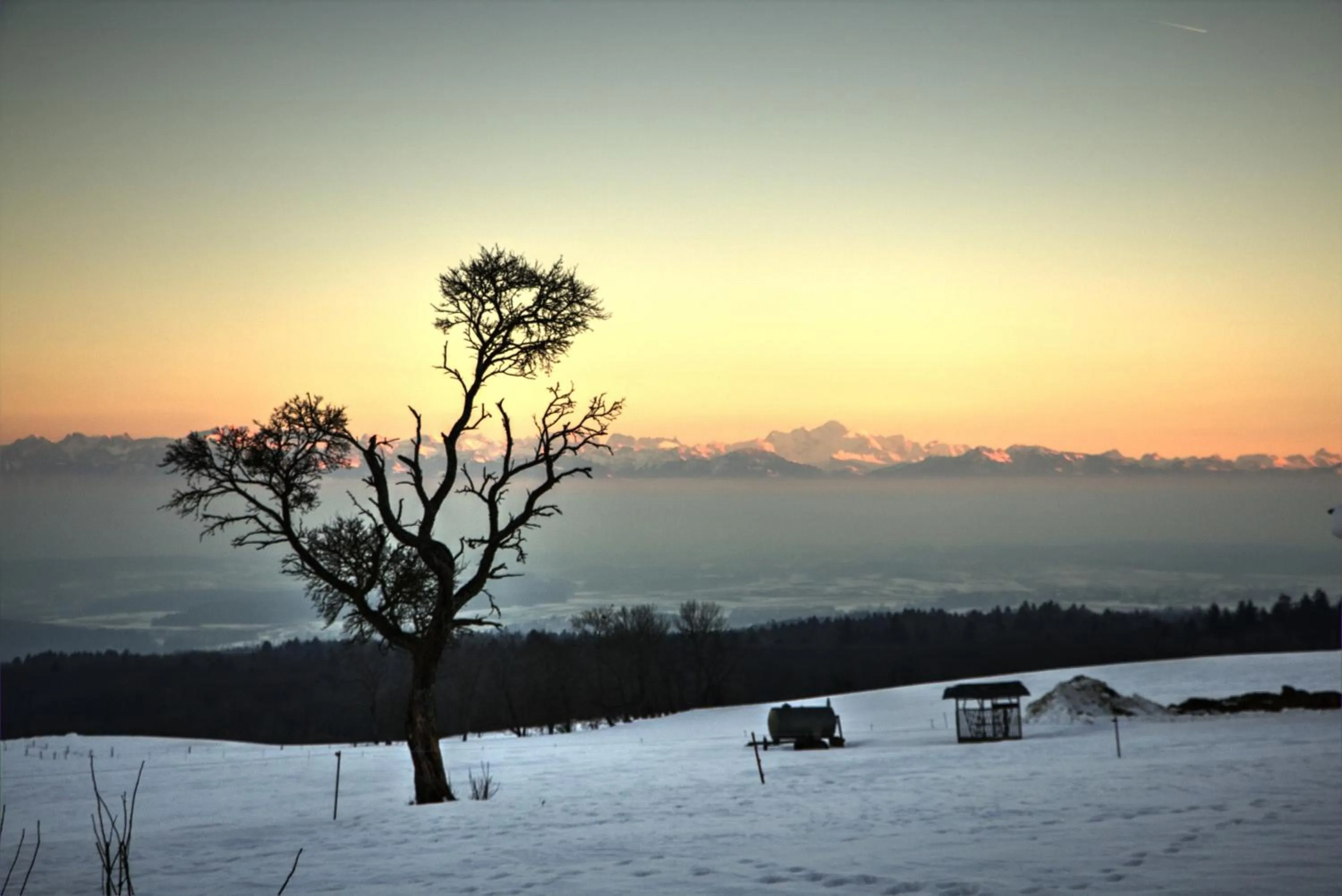 Garden in La Ferme de la Praz - Rooms with a View