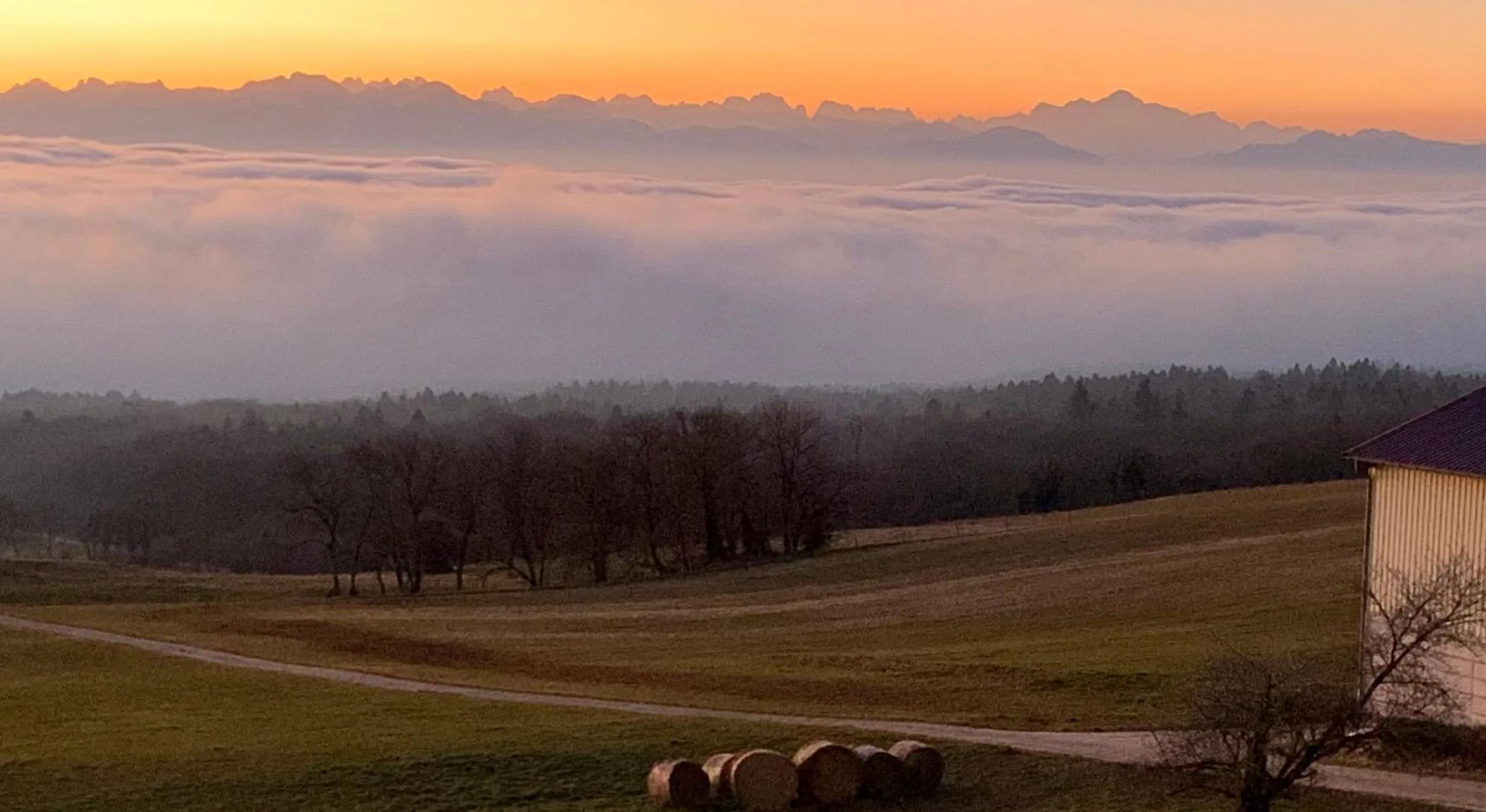 Natural landscape in La Ferme de la Praz - Rooms with a View