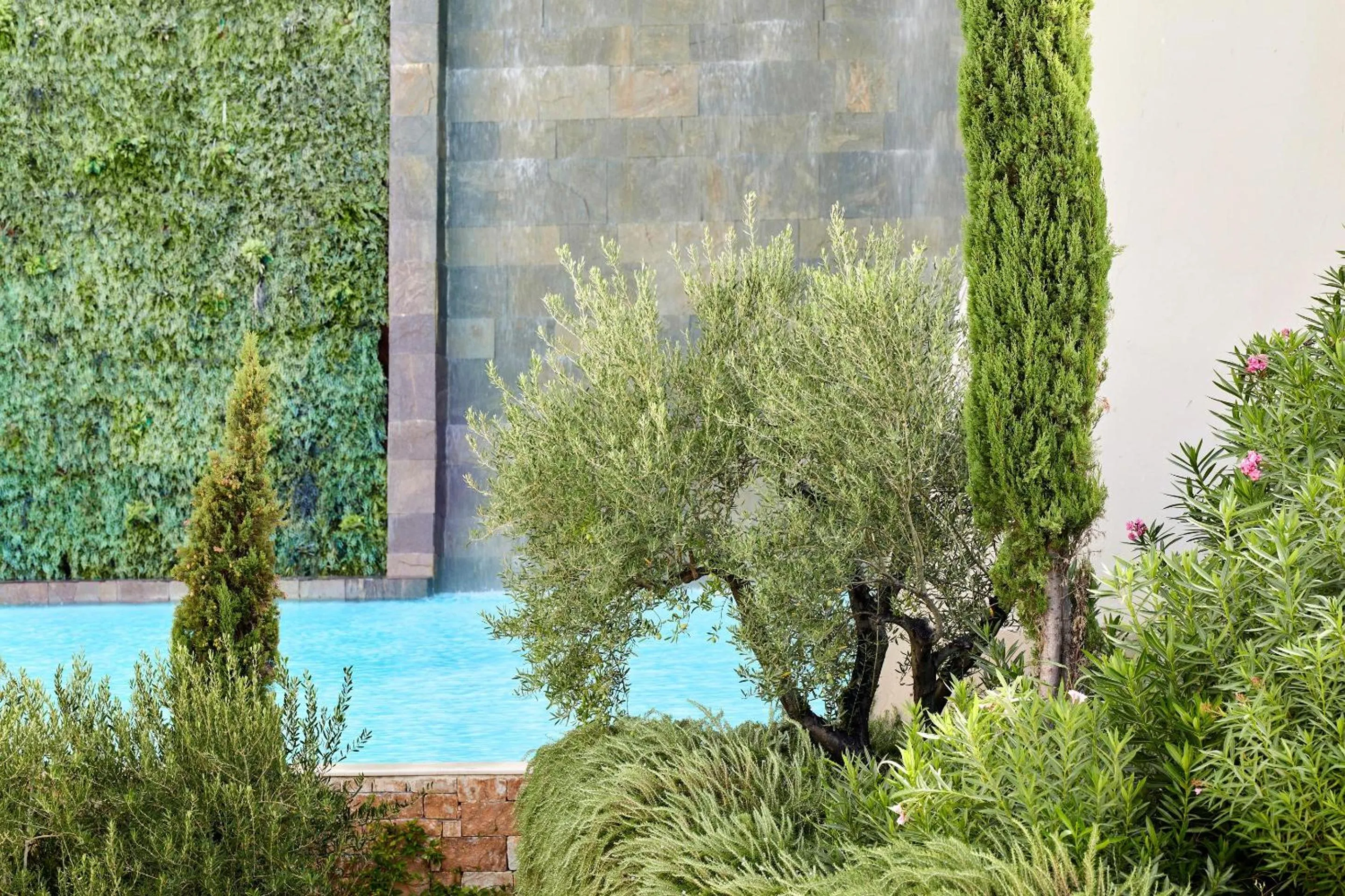 Garden in Ikos Oceania