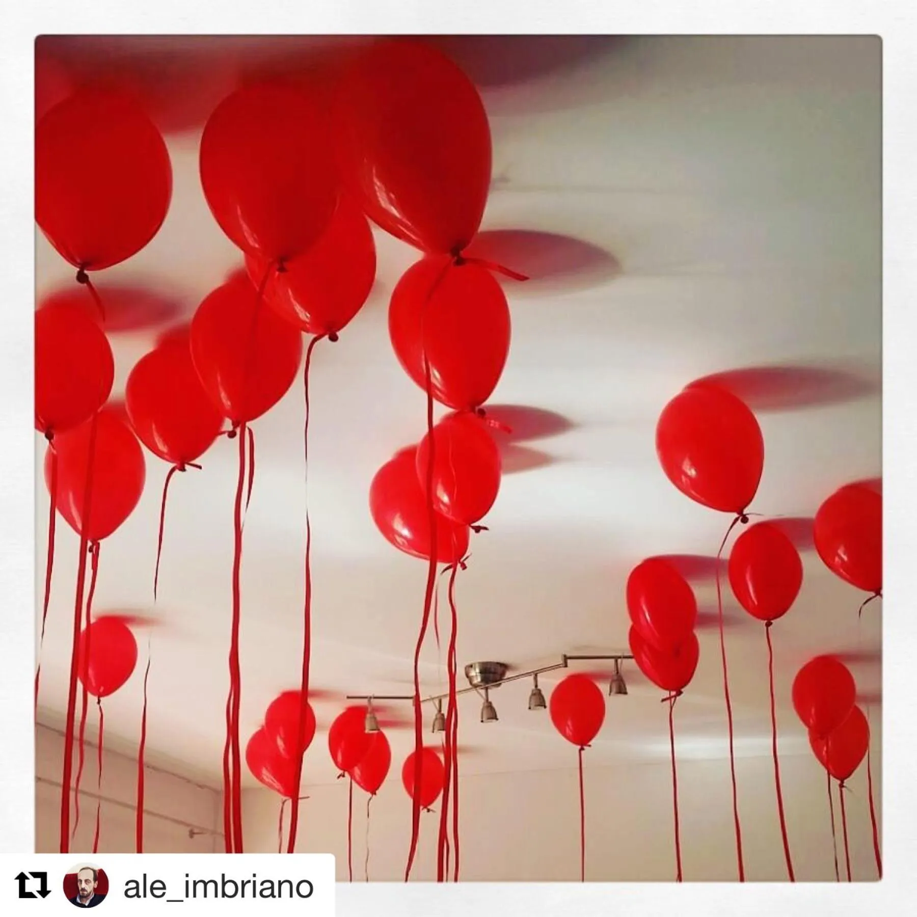 Entertainment in Magenta Campo dei Fiori