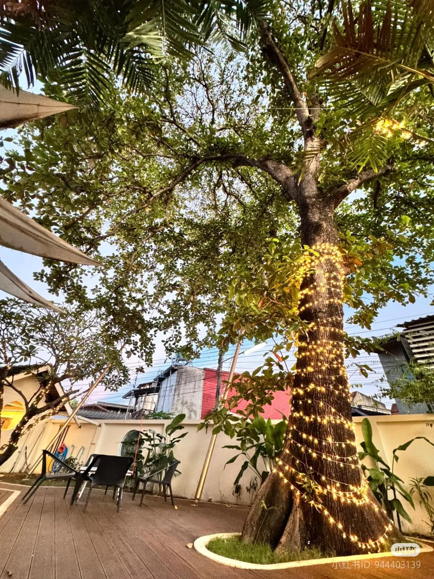 Garden in To The Moon Guesthouse