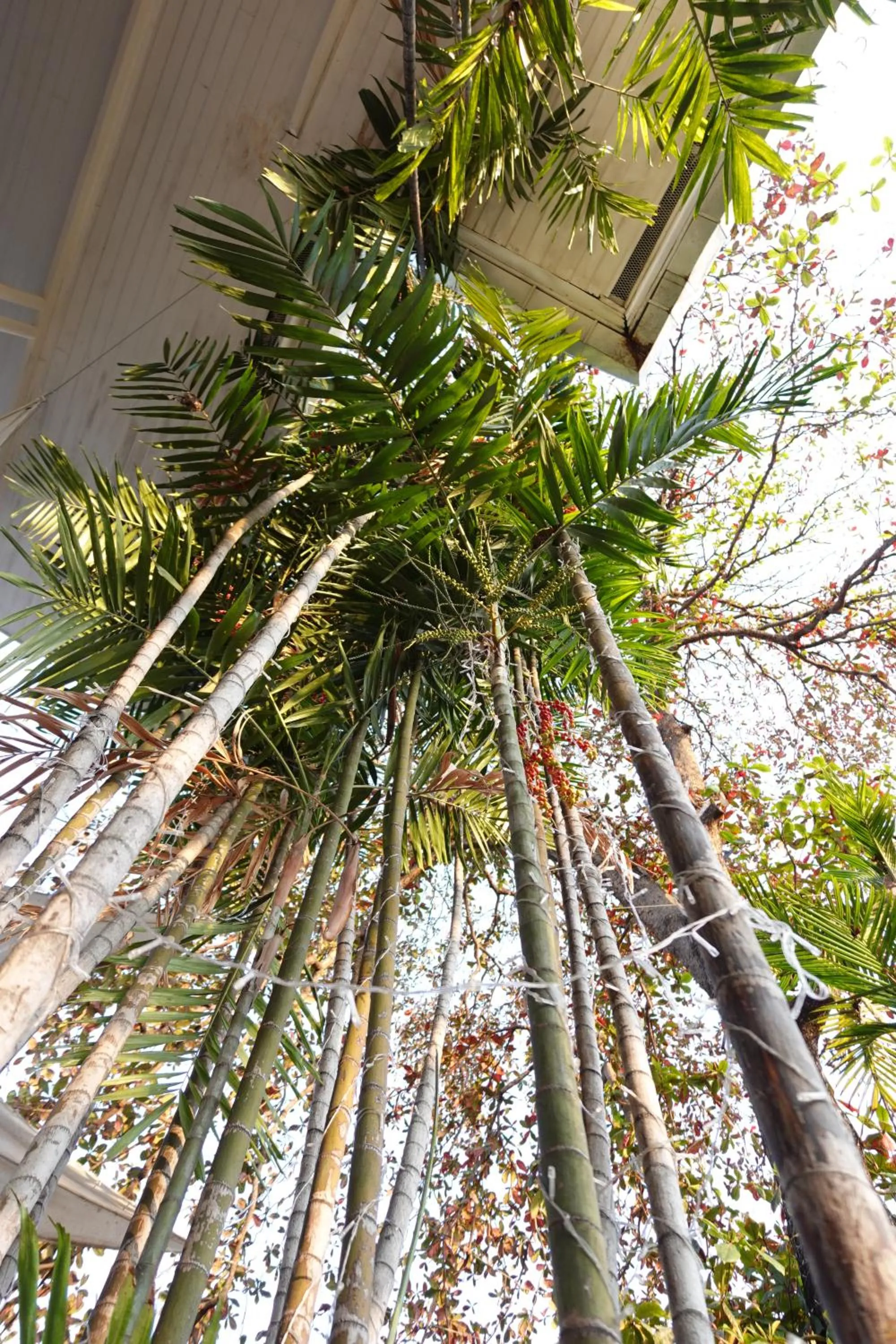 Property building in To The Moon Guesthouse