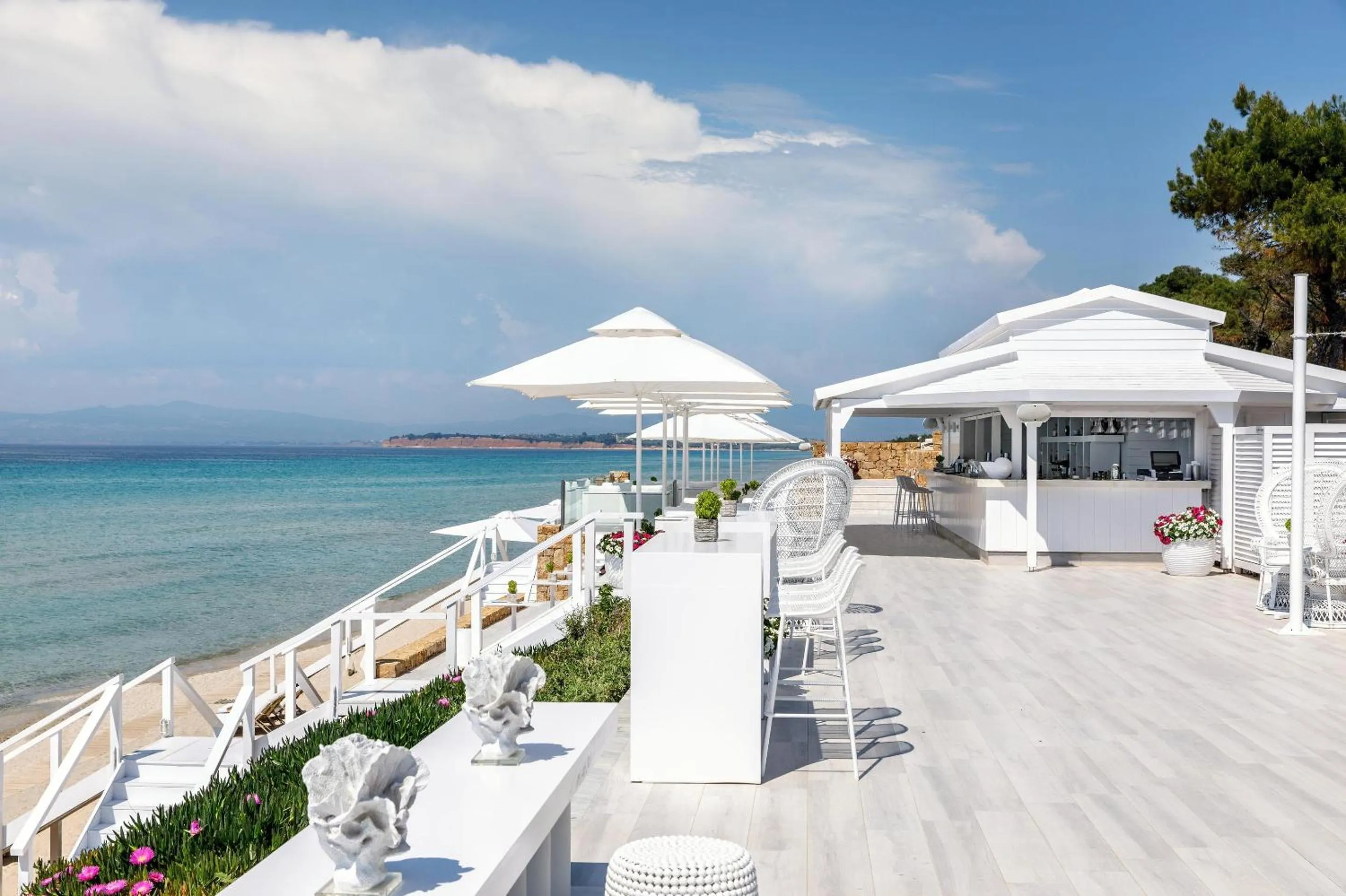 Lounge or bar in Sani Beach