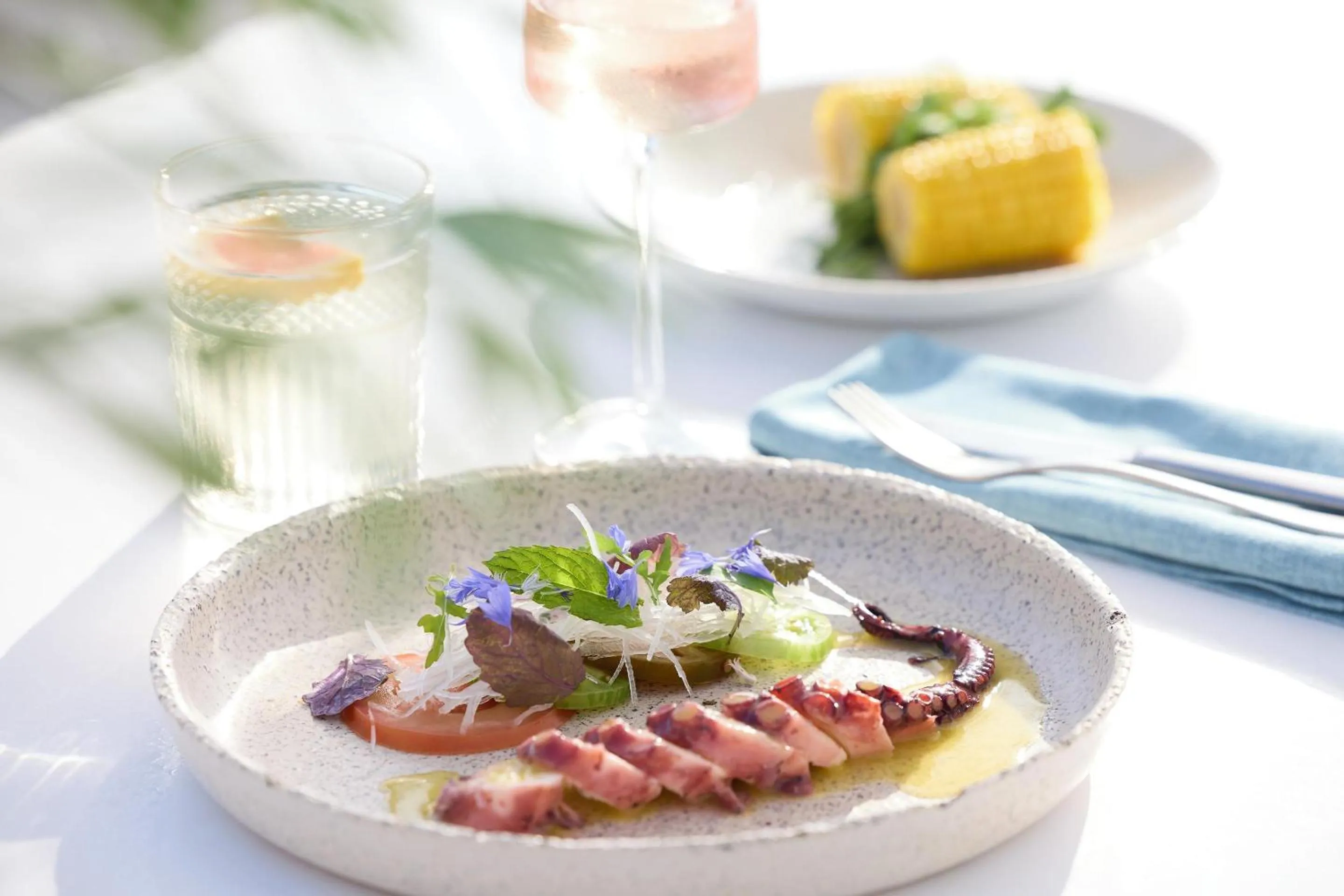 Restaurant/places to eat in Sani Beach