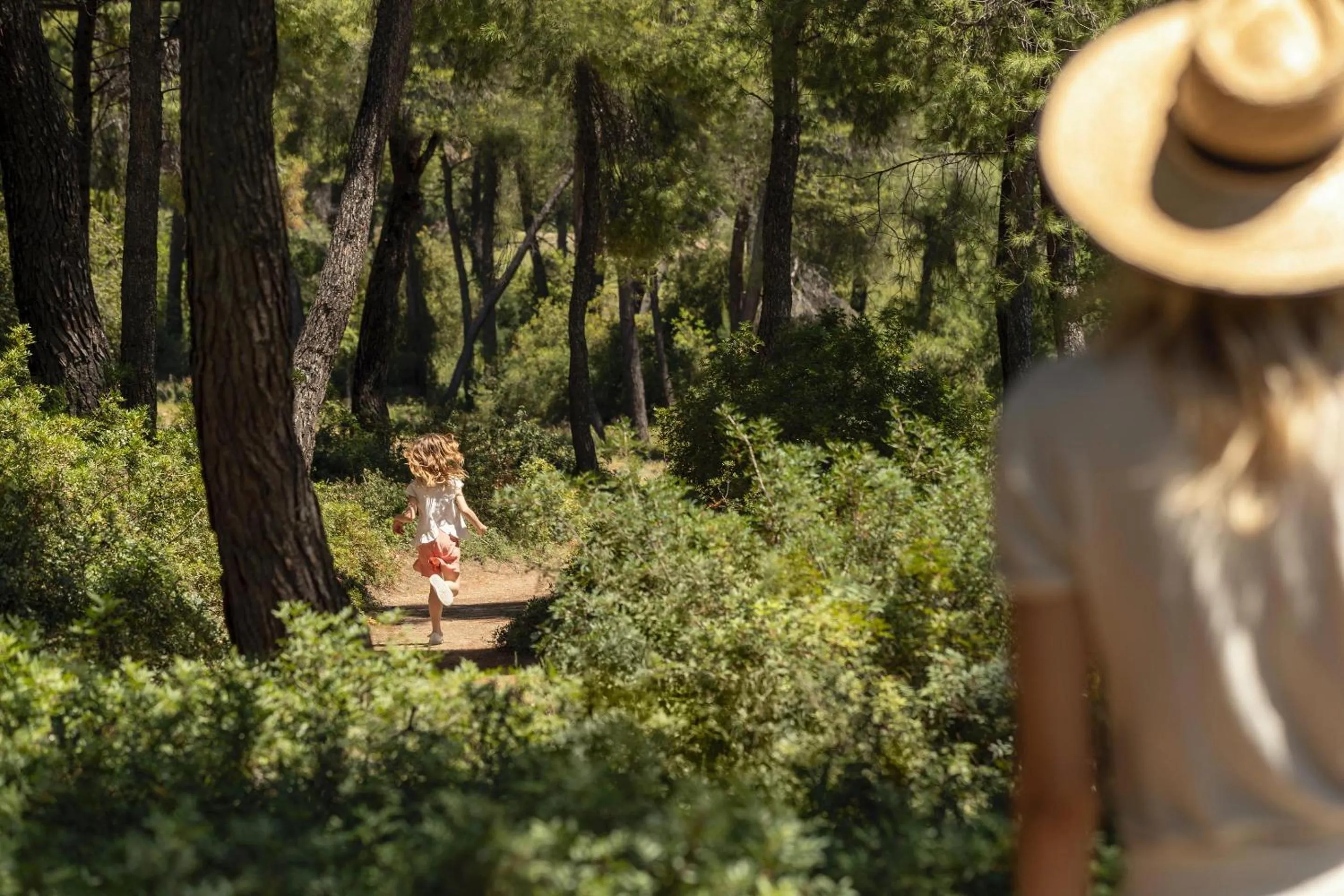 Garden in Sani Beach