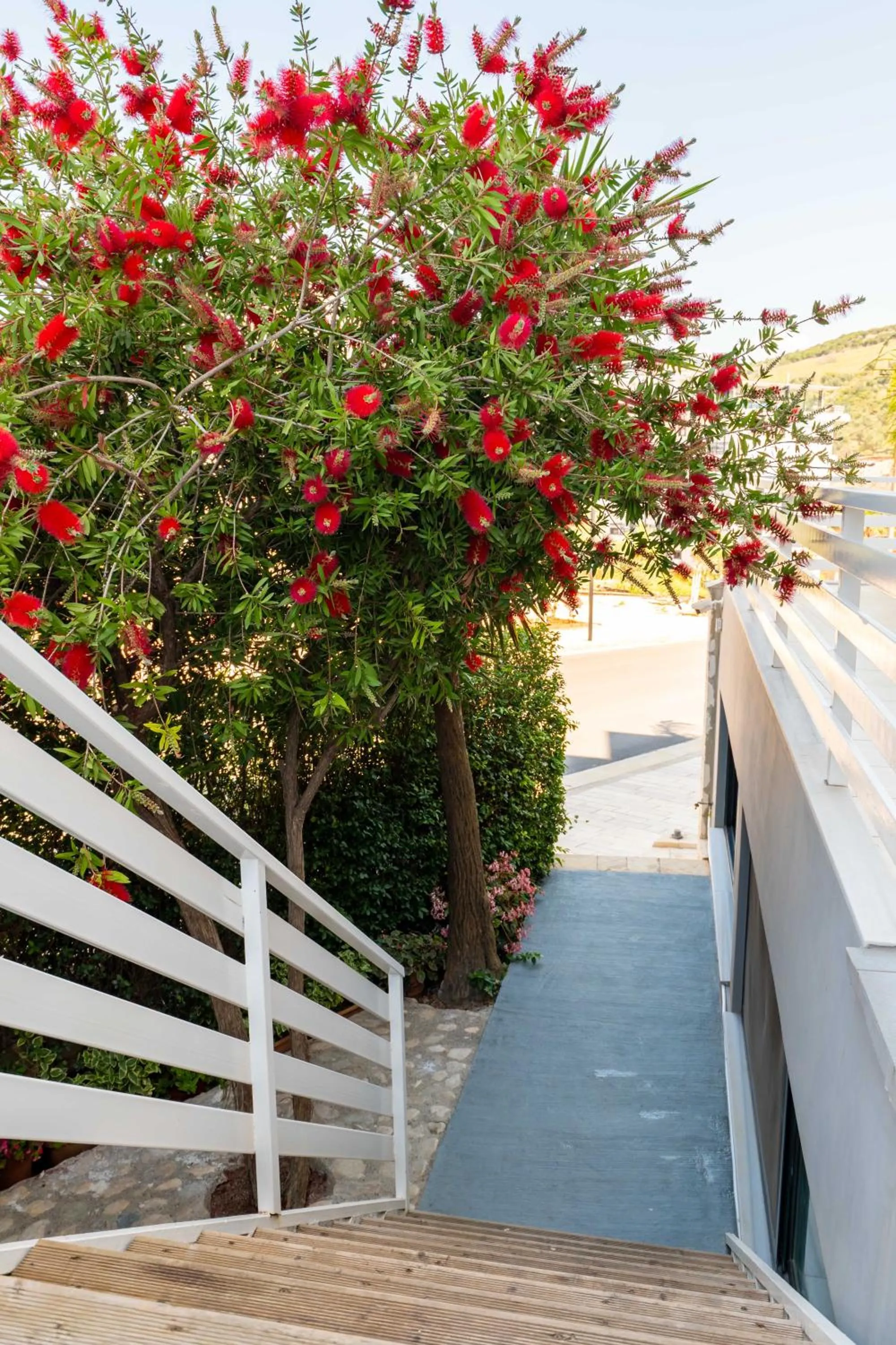 Garden in Heksamil Hotel