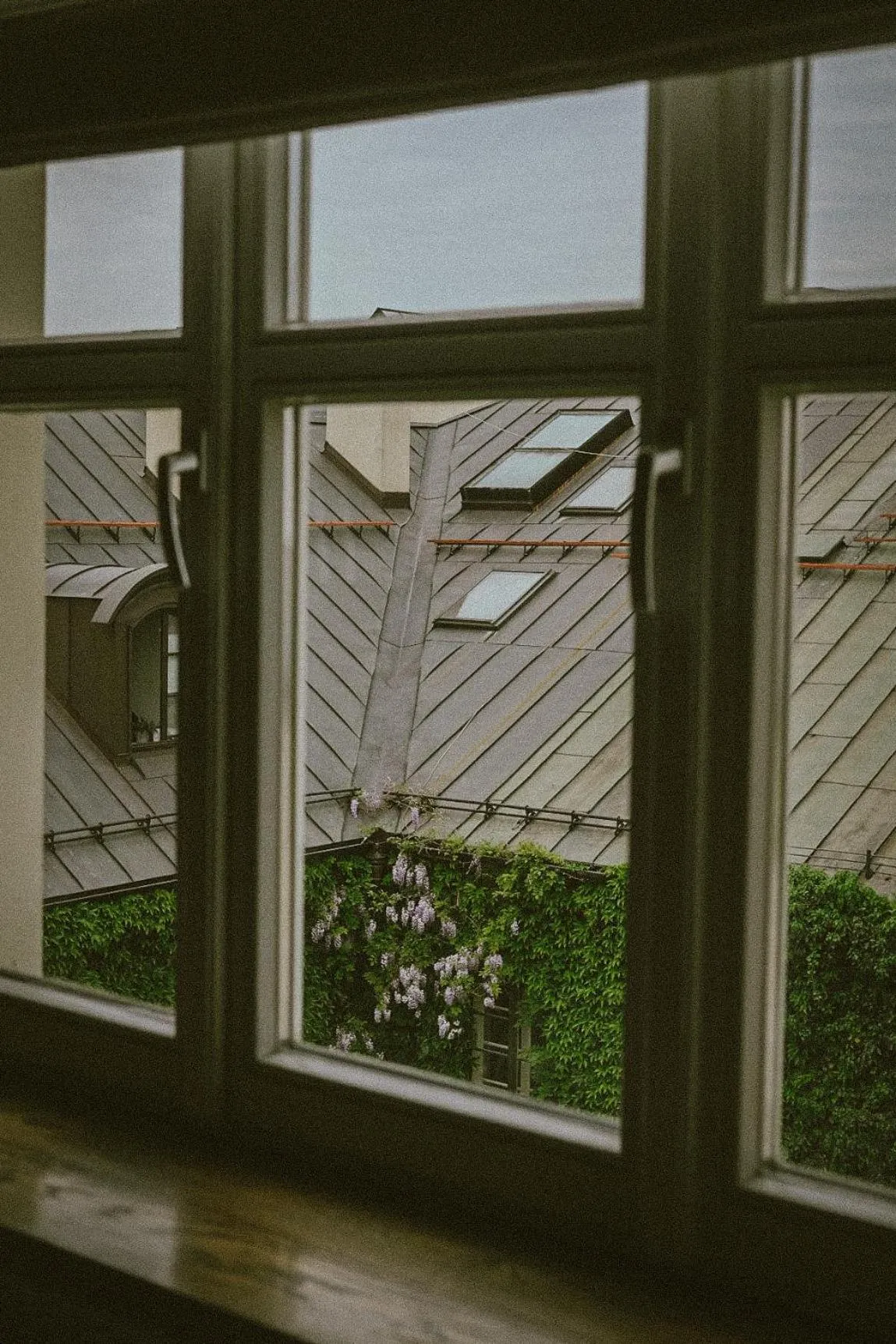 View (from property/room) in Too-Good Apartments