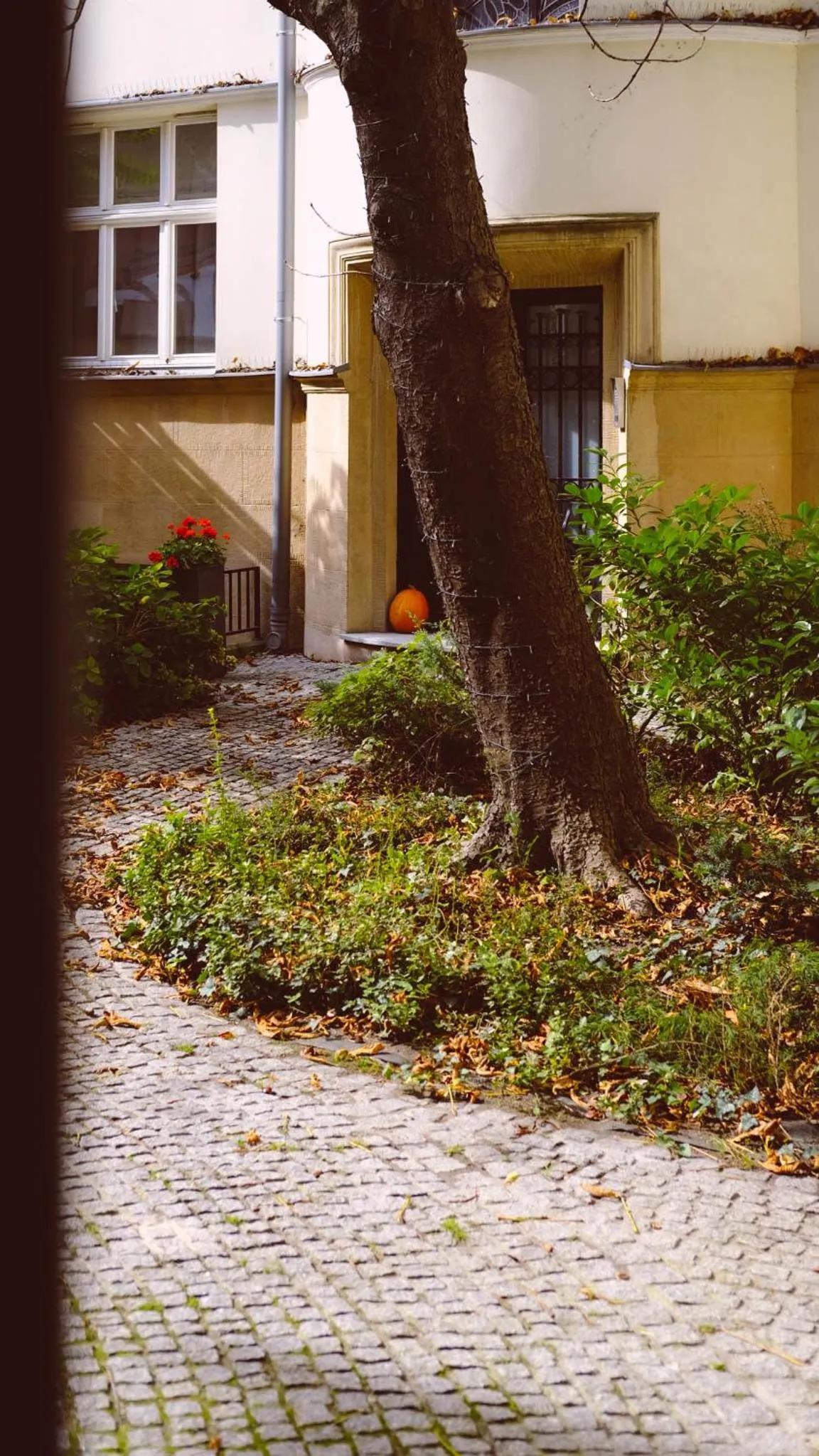 Property building in Too-Good Apartments