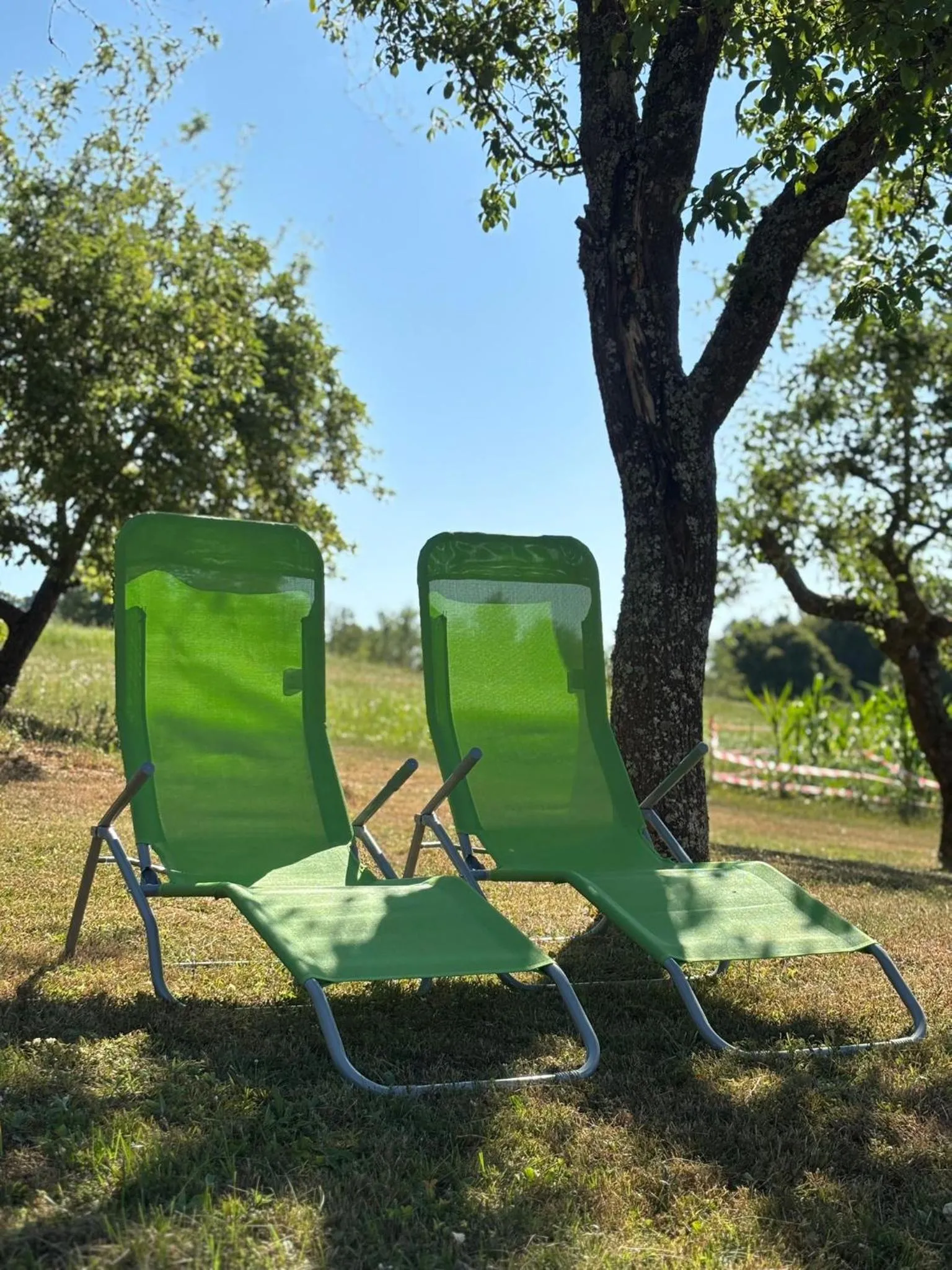 Natural landscape in Apartment Jelena