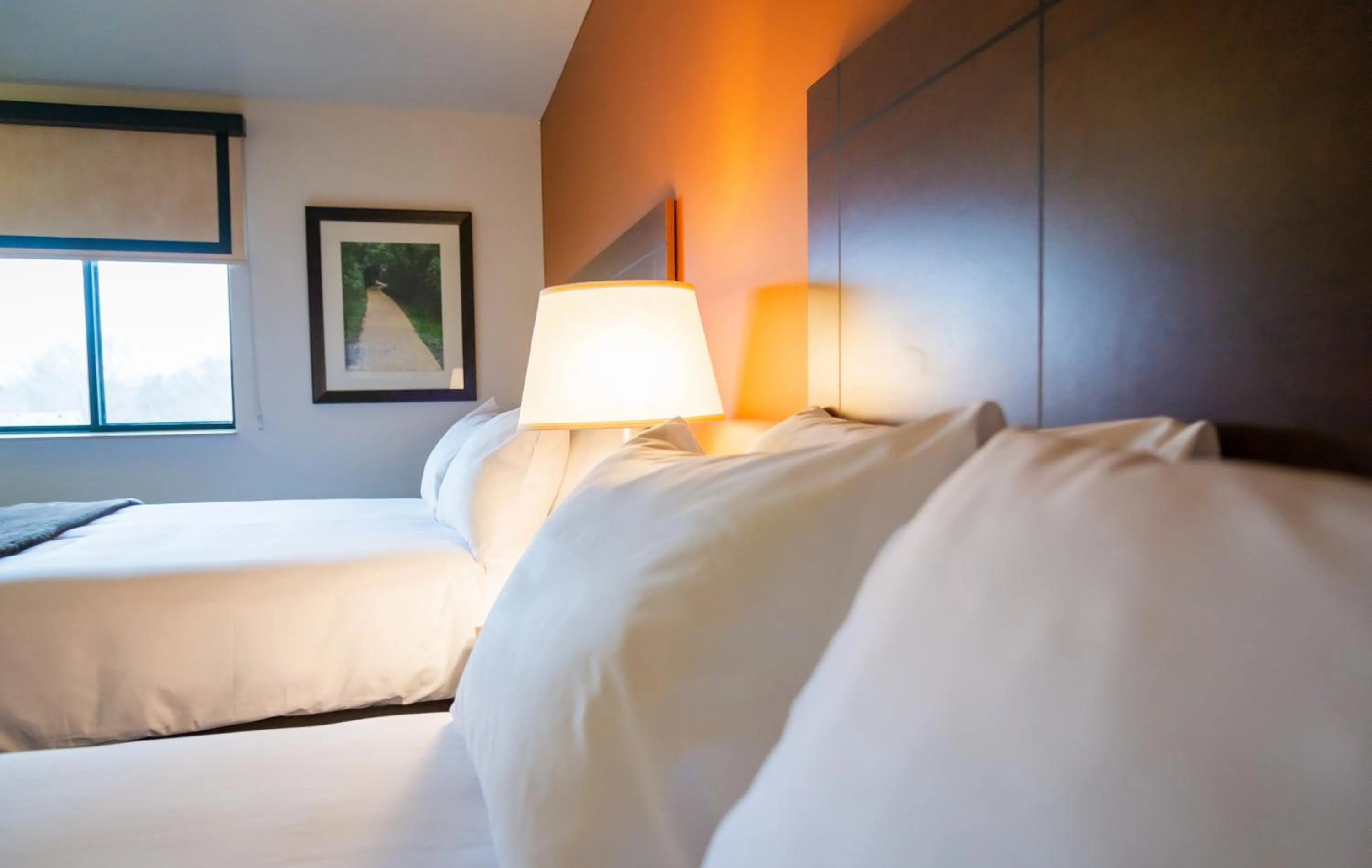 Bed in My Place Hotel-Billings, MT