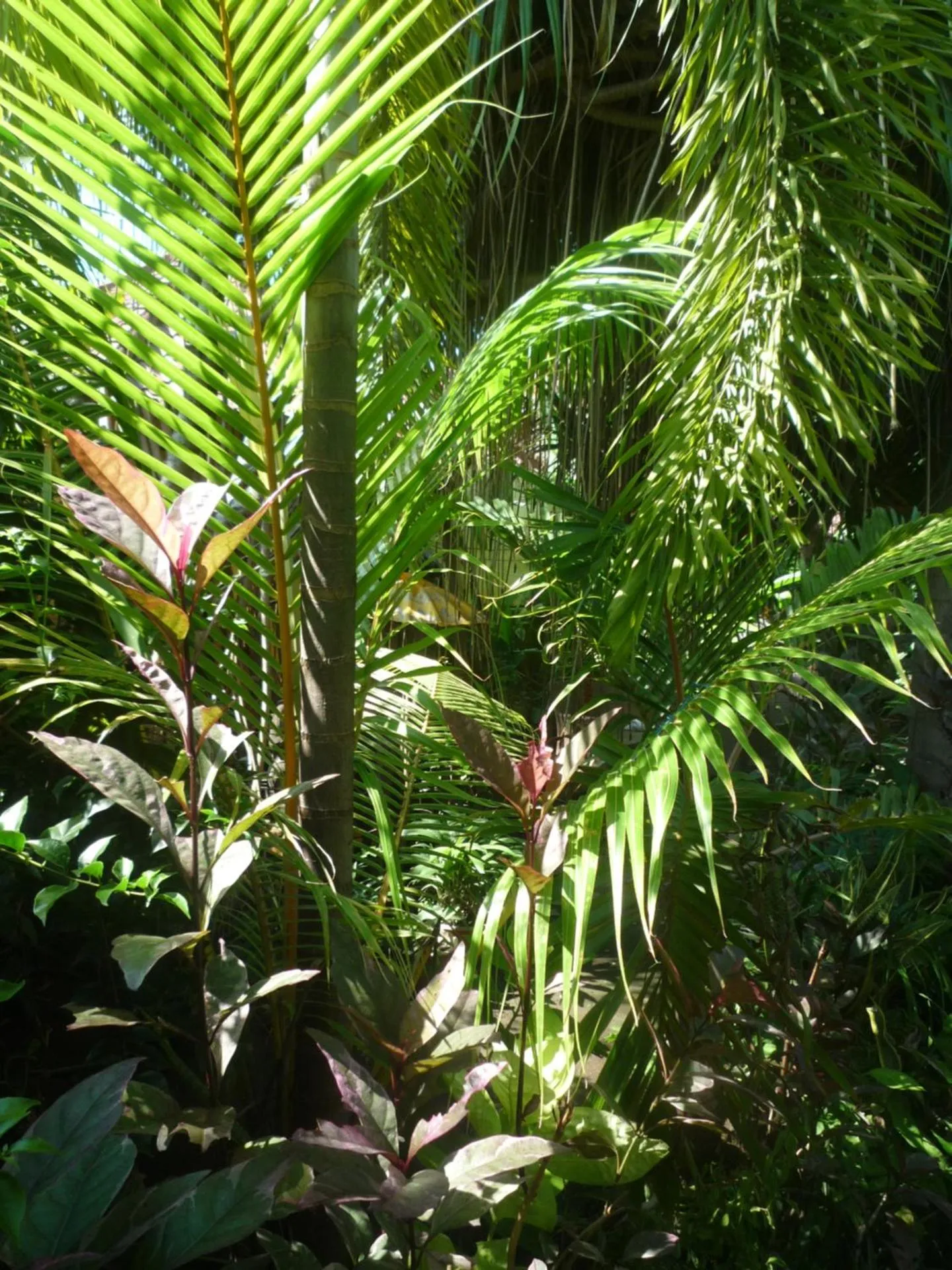 Balcony/Terrace in Gili Nyepi