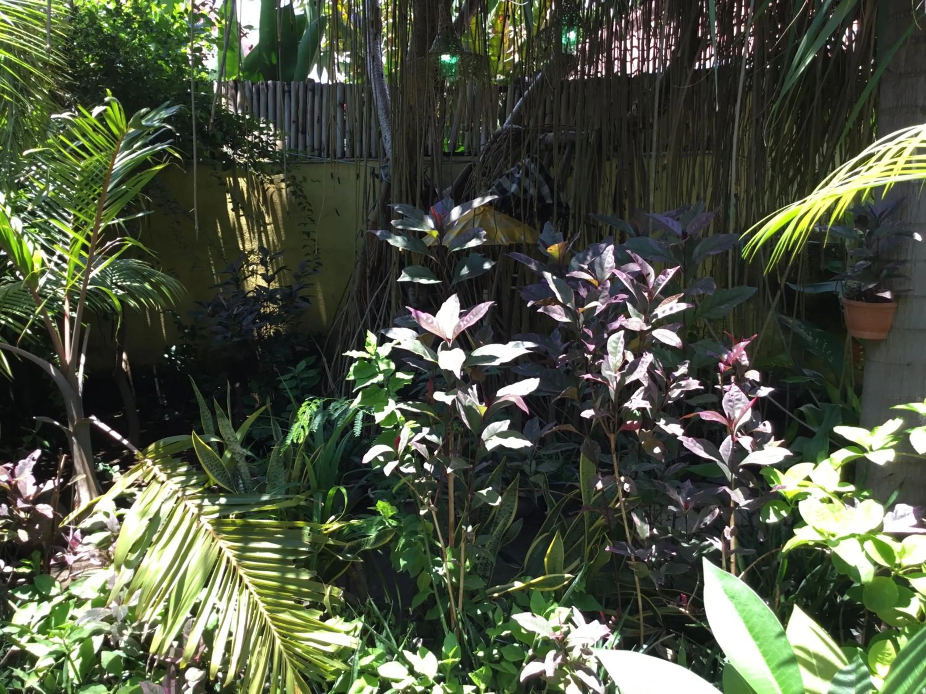 Inner courtyard view in Gili Nyepi