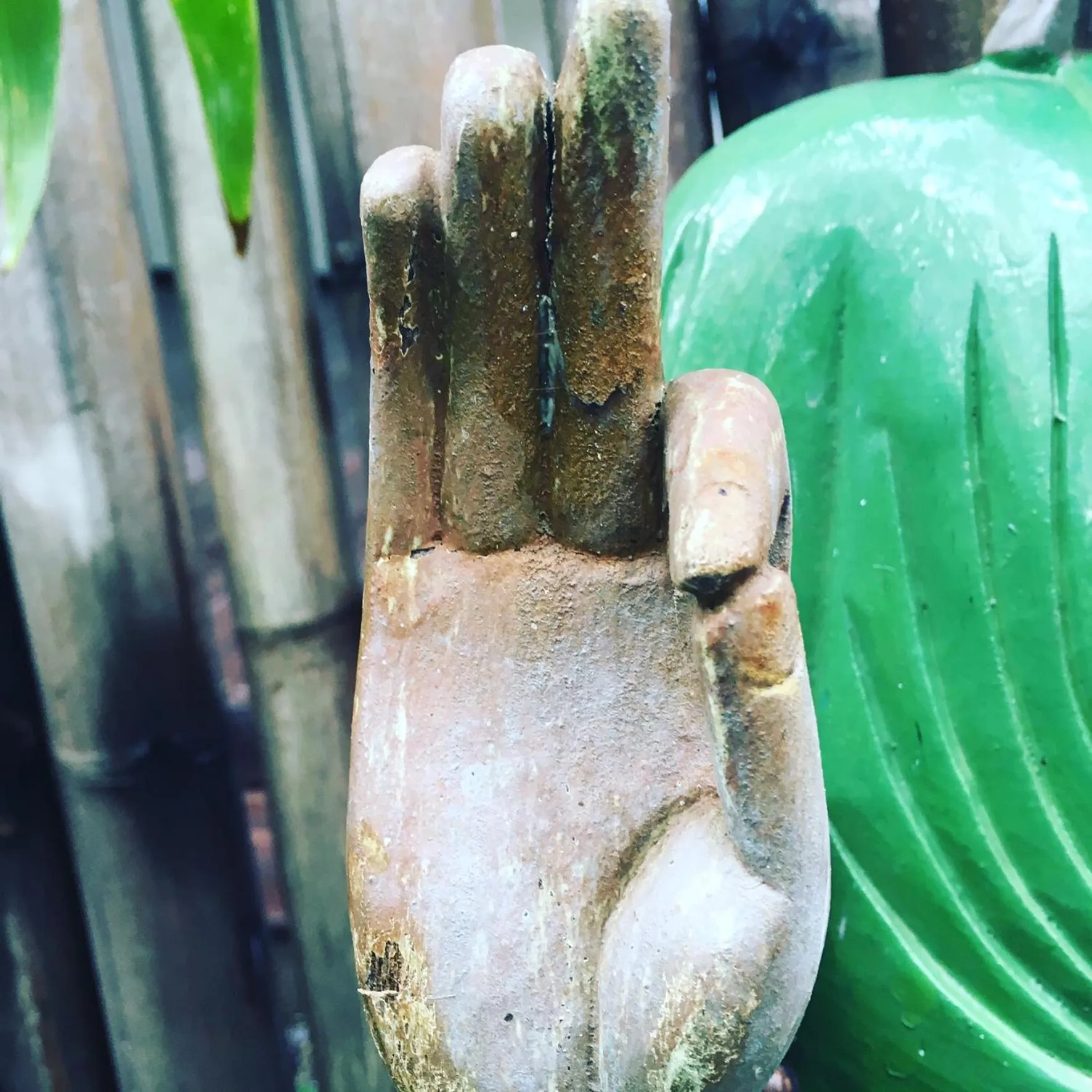 Garden in Gili Nyepi