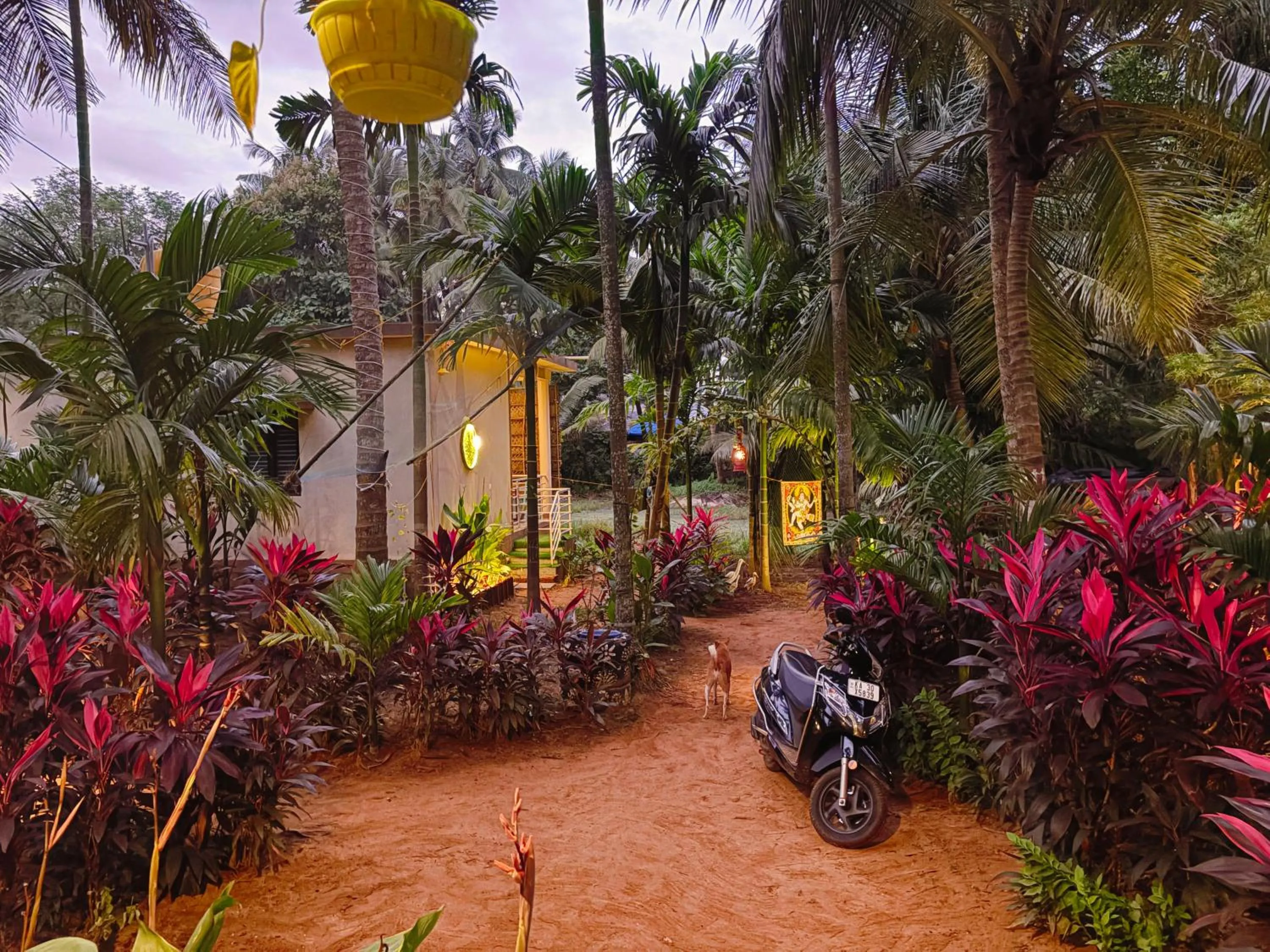 Garden view in Areca Nest