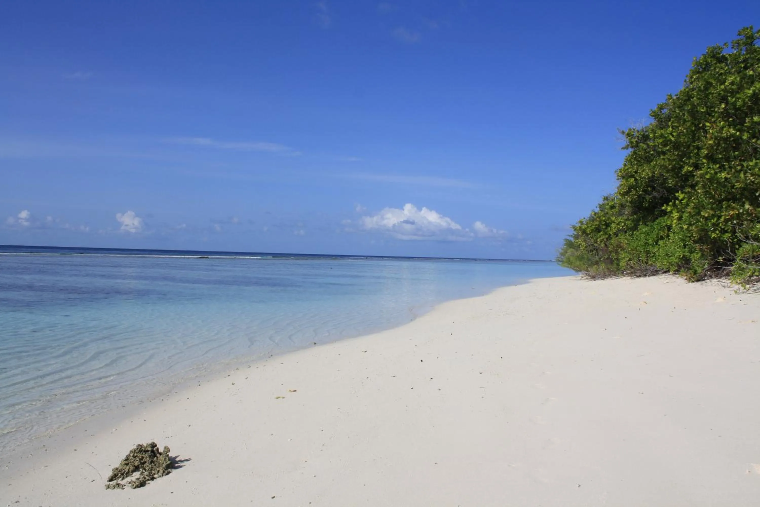 Beach in Boutique Beach All Inclusive Diving Hotel
