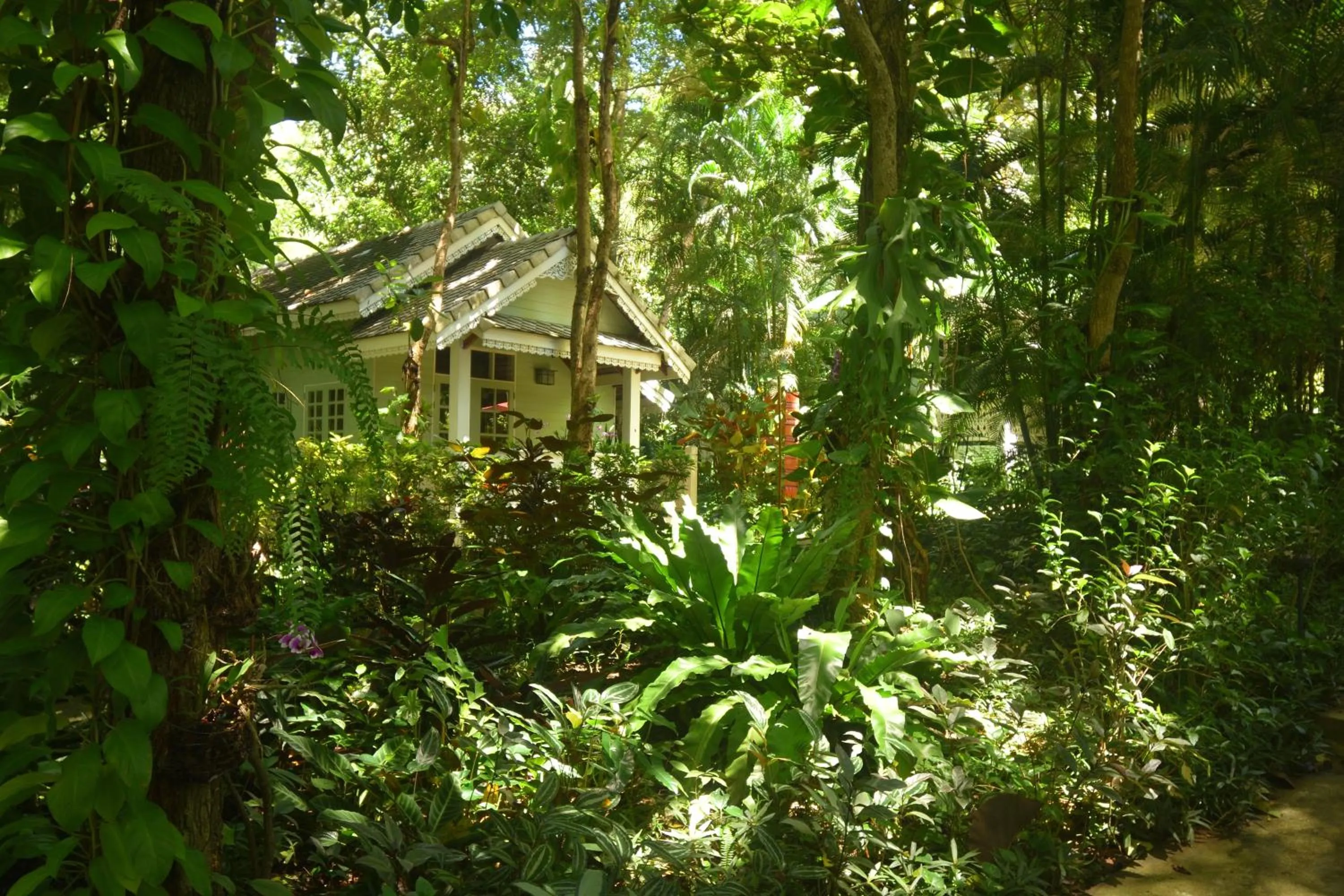 Garden in Monoceros Resort