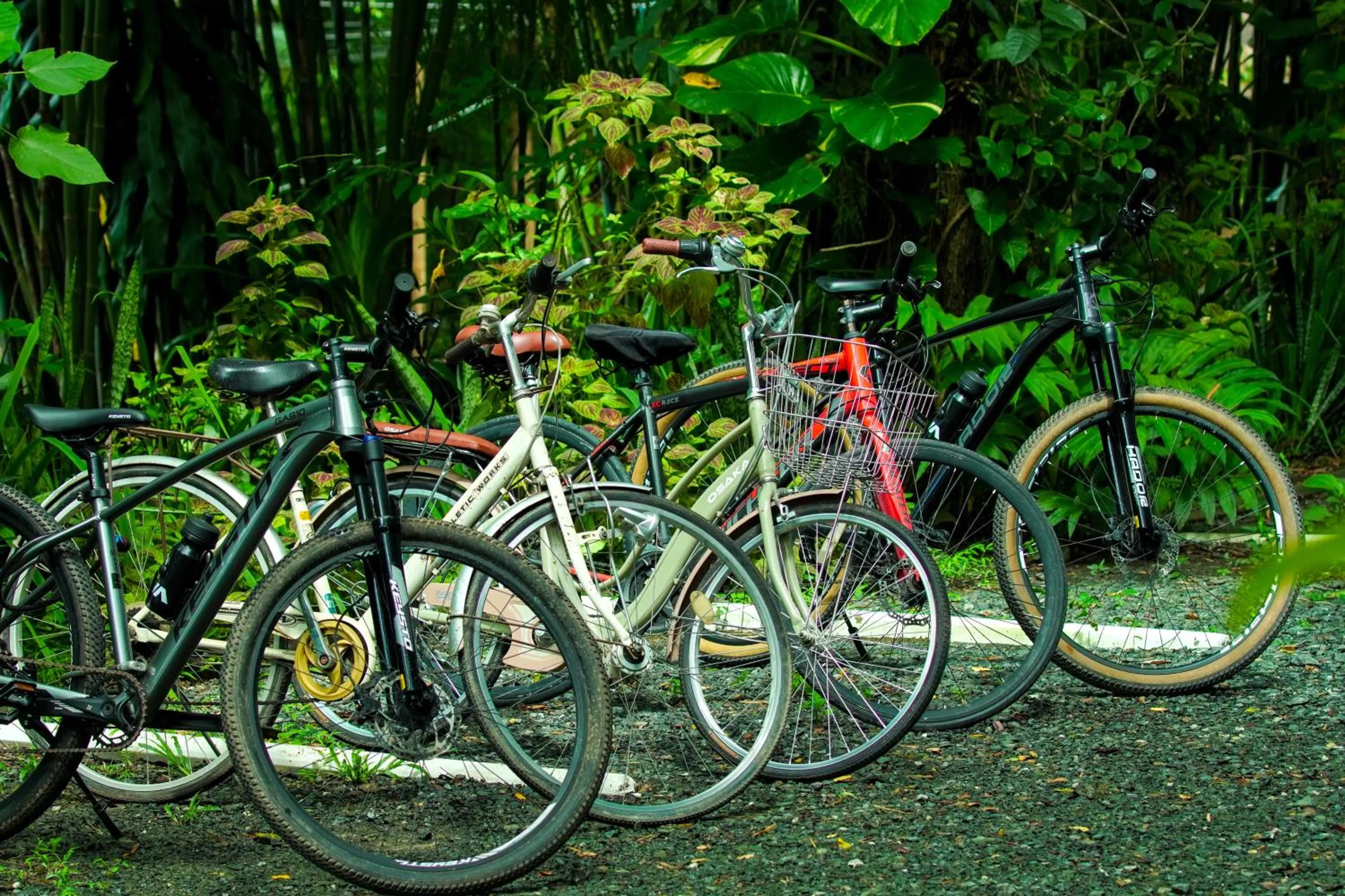 Cycling in Monoceros Resort