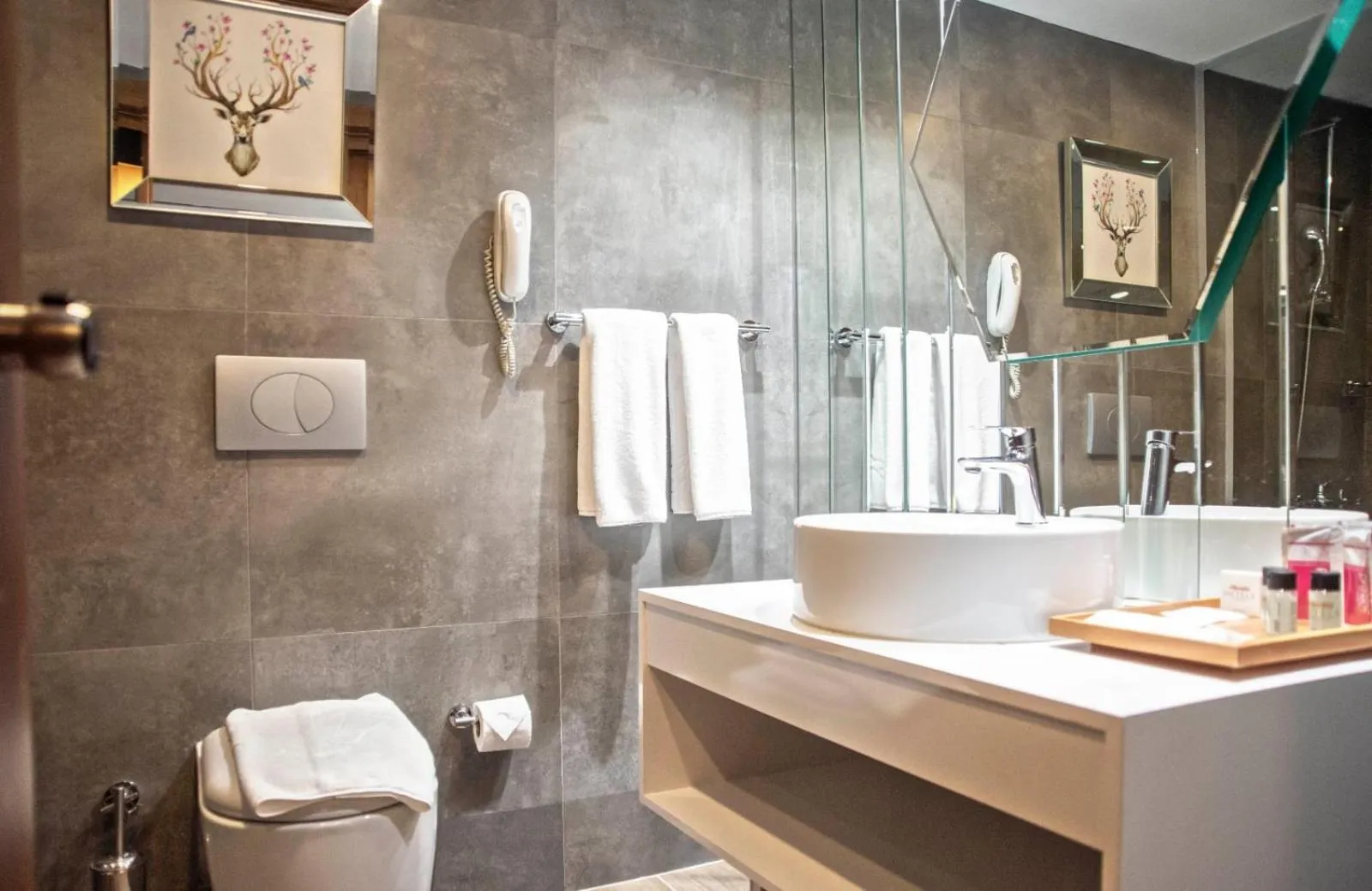 Bathroom in Ağaoğlu My Mountain