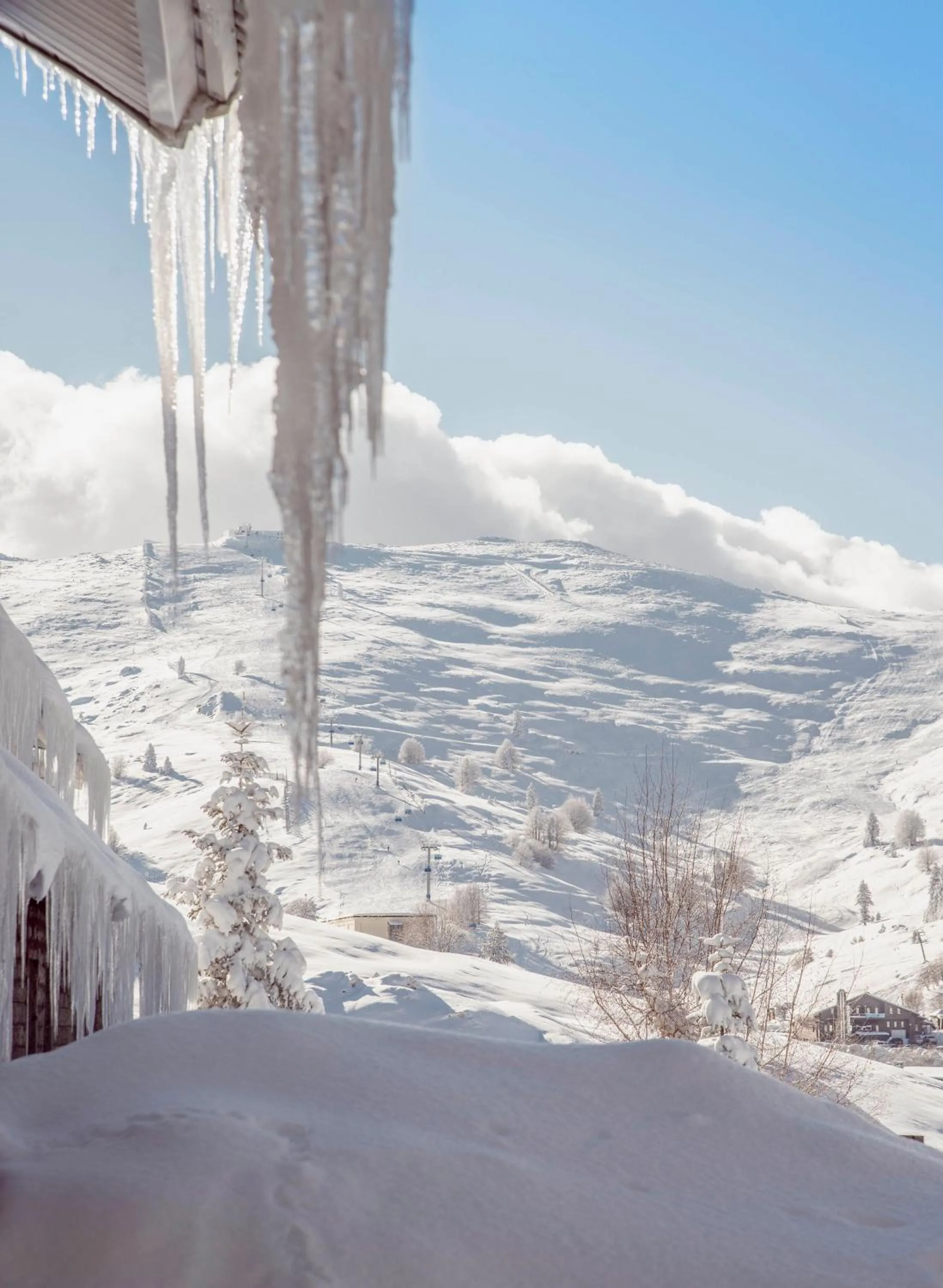 Natural landscape in Ağaoğlu My Mountain