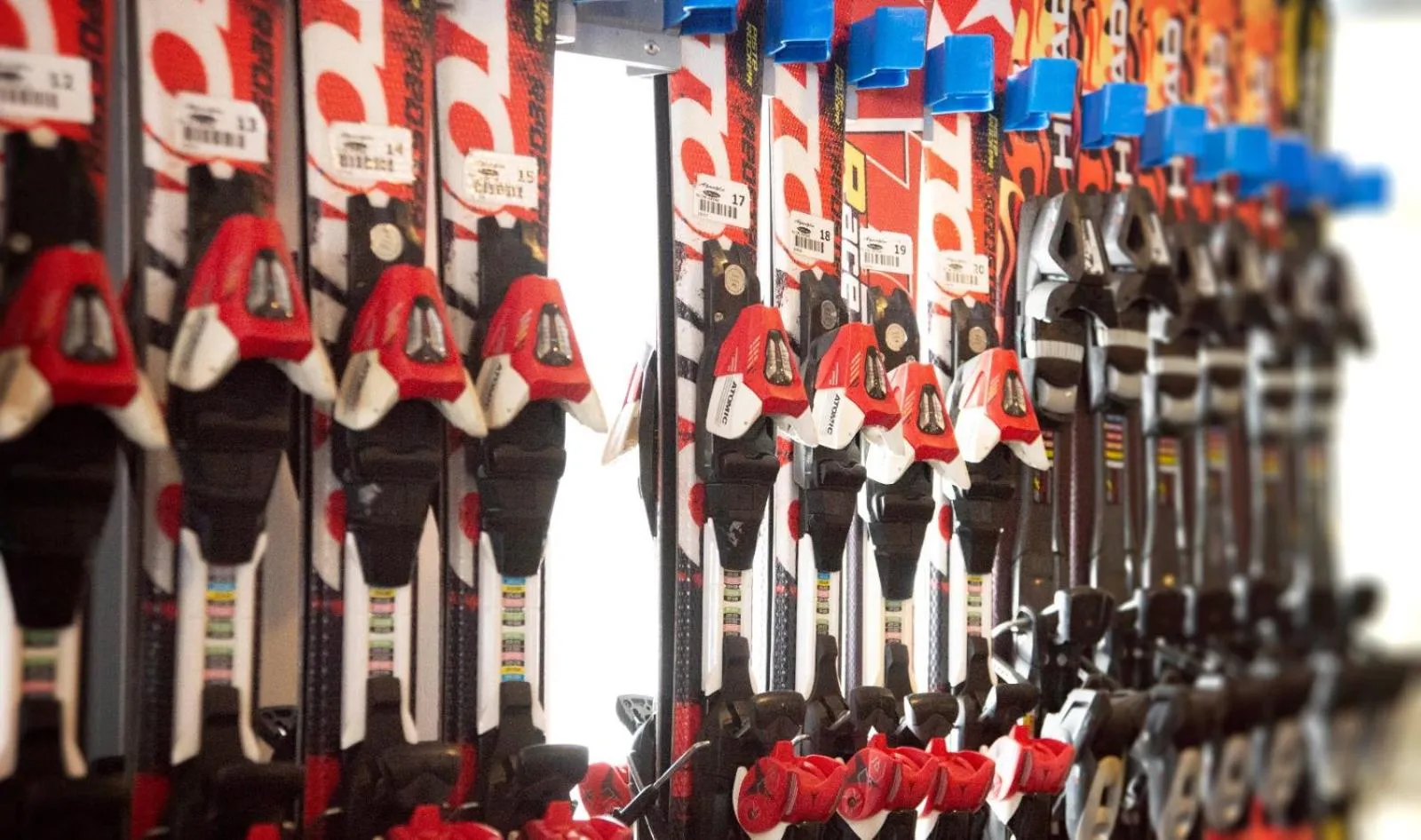 Ski School in Ağaoğlu My Mountain