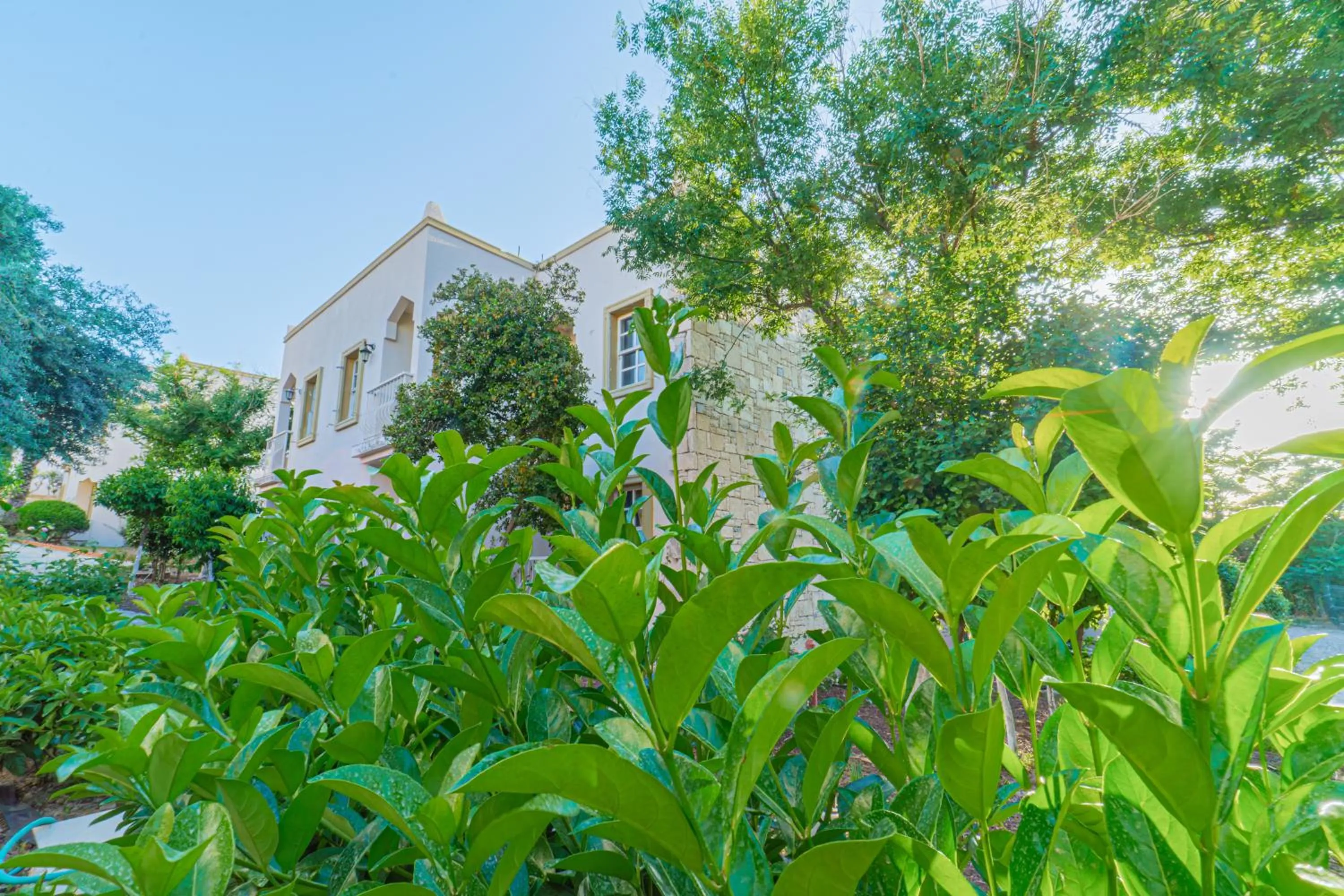 Spring in Alexander The Great Resort & Spa