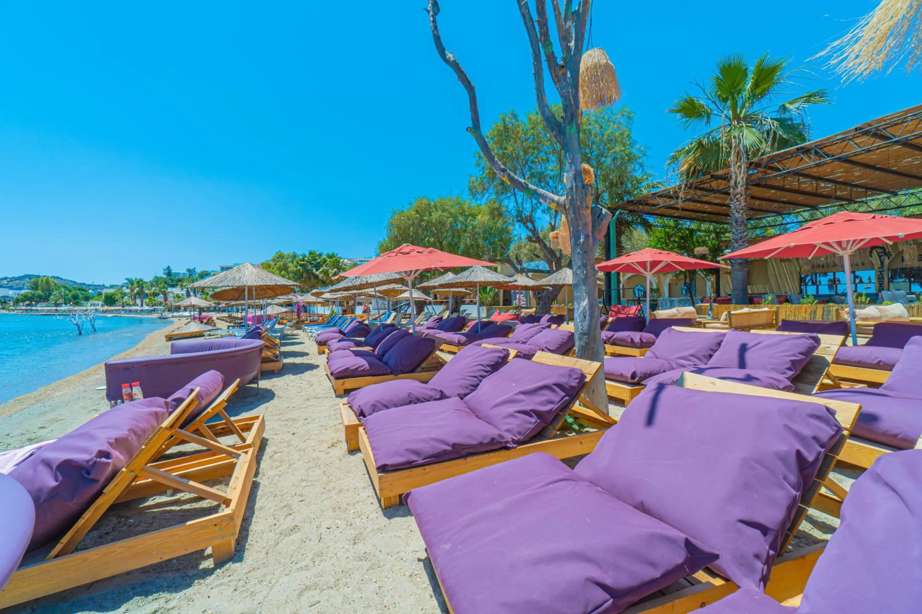 Beach in Alexander The Great Resort & Spa