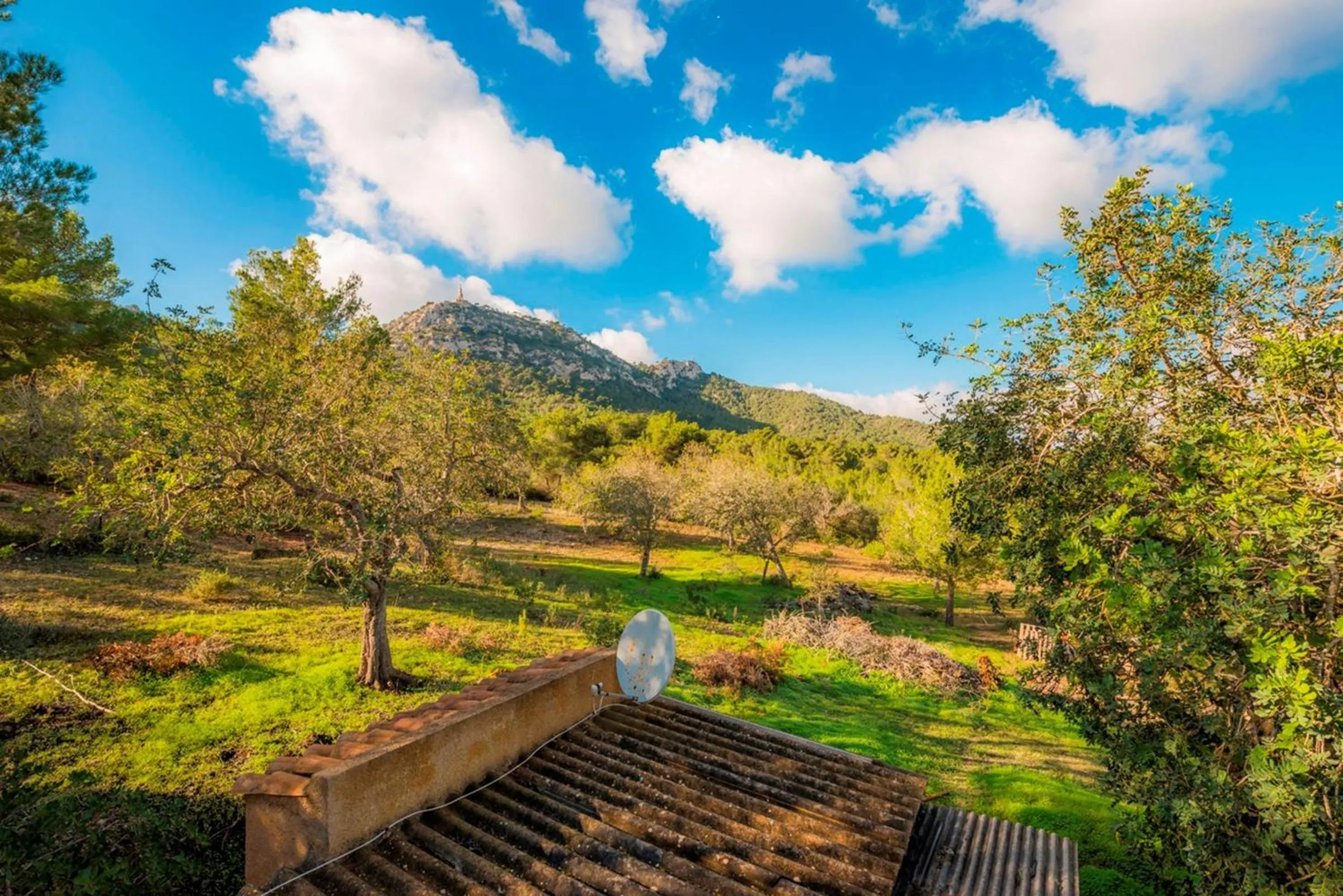 Natural landscape in Bonavista (Batle De Bonavista)