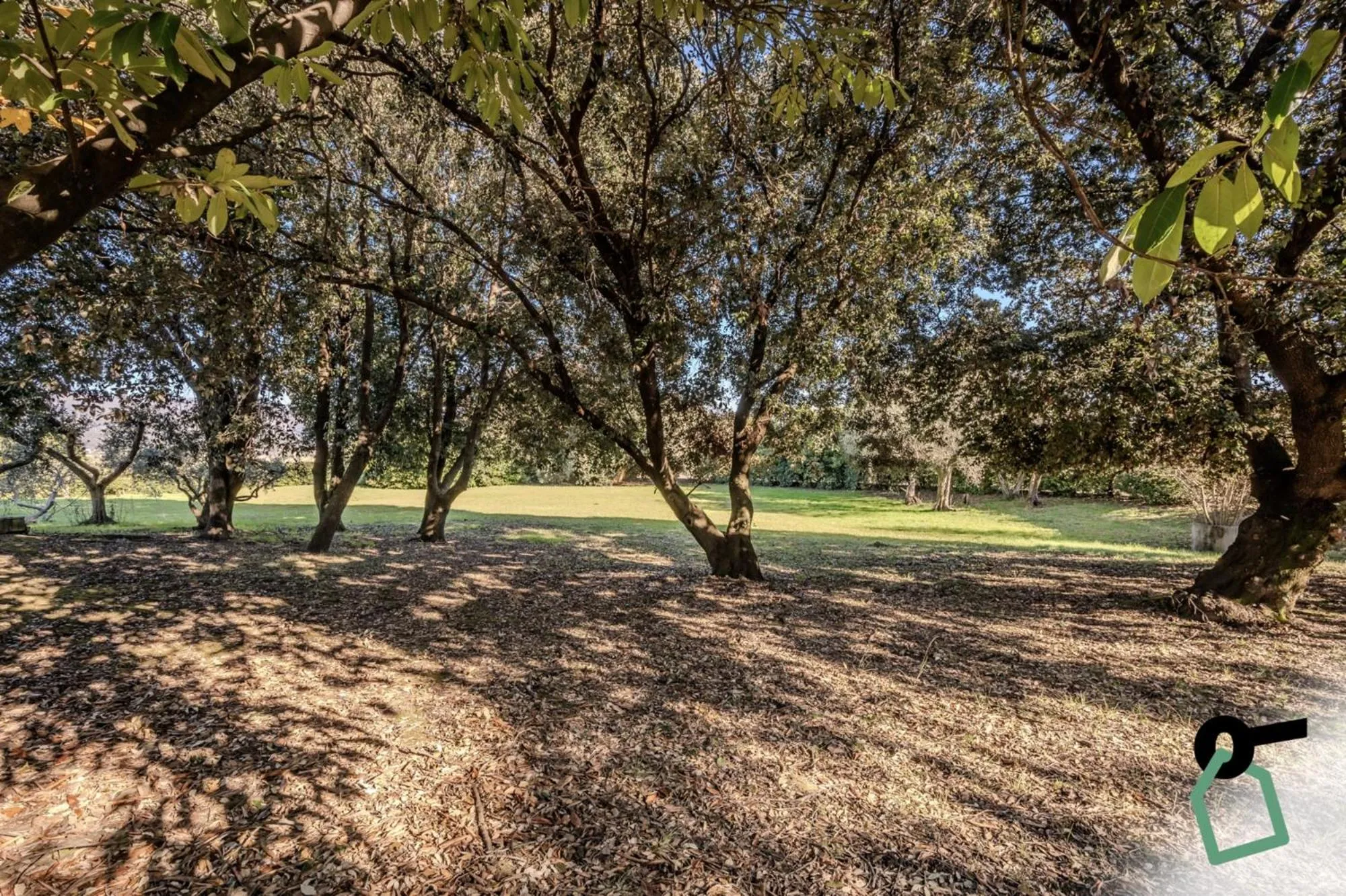 Garden in HOTIDAY Room Collection - Sarzana