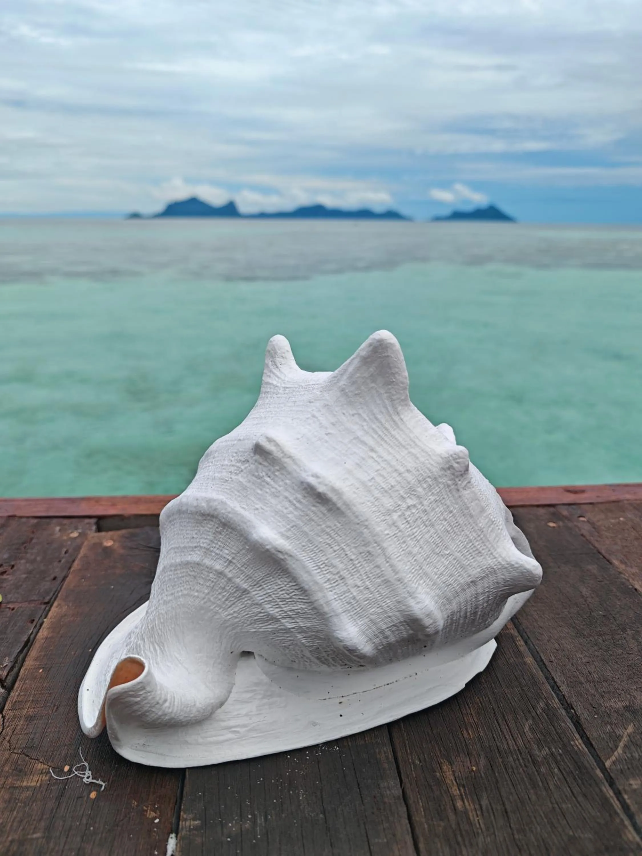 Breakfast in Bubblefish Water Villa